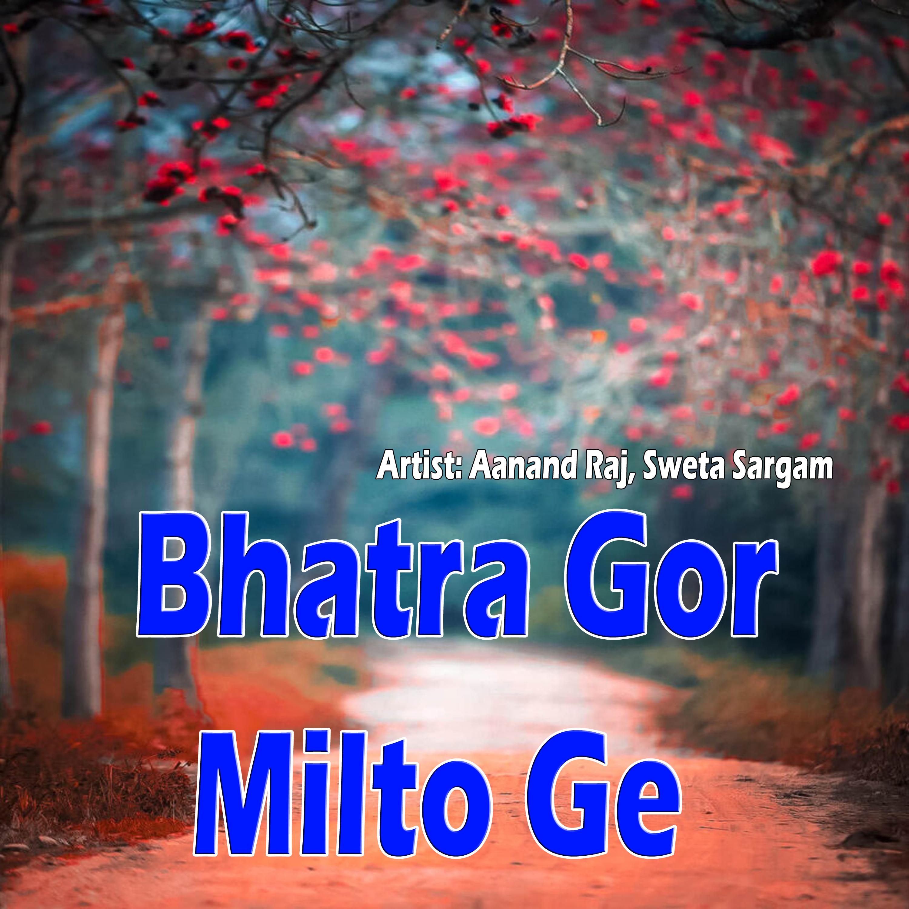 Постер альбома Bhatra Gor Milto Ge