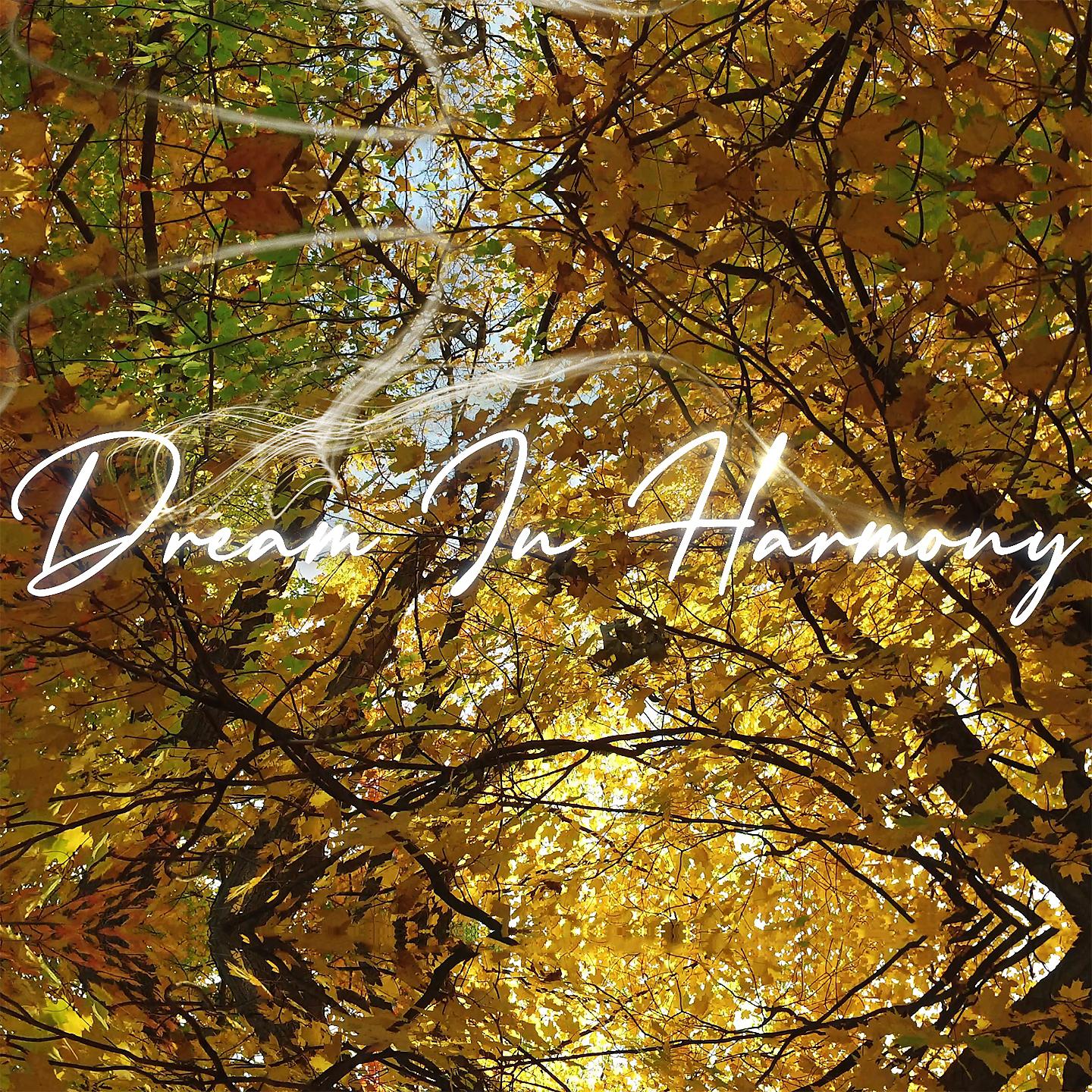 Постер альбома Dream in Harmony
