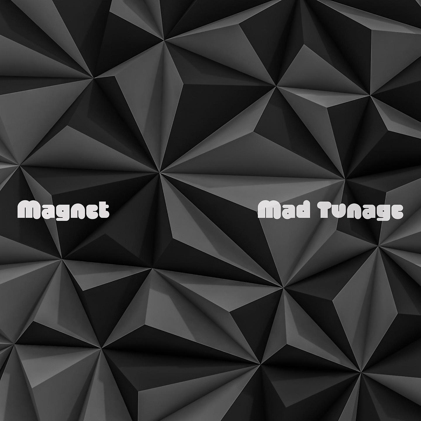 Постер альбома Magnet