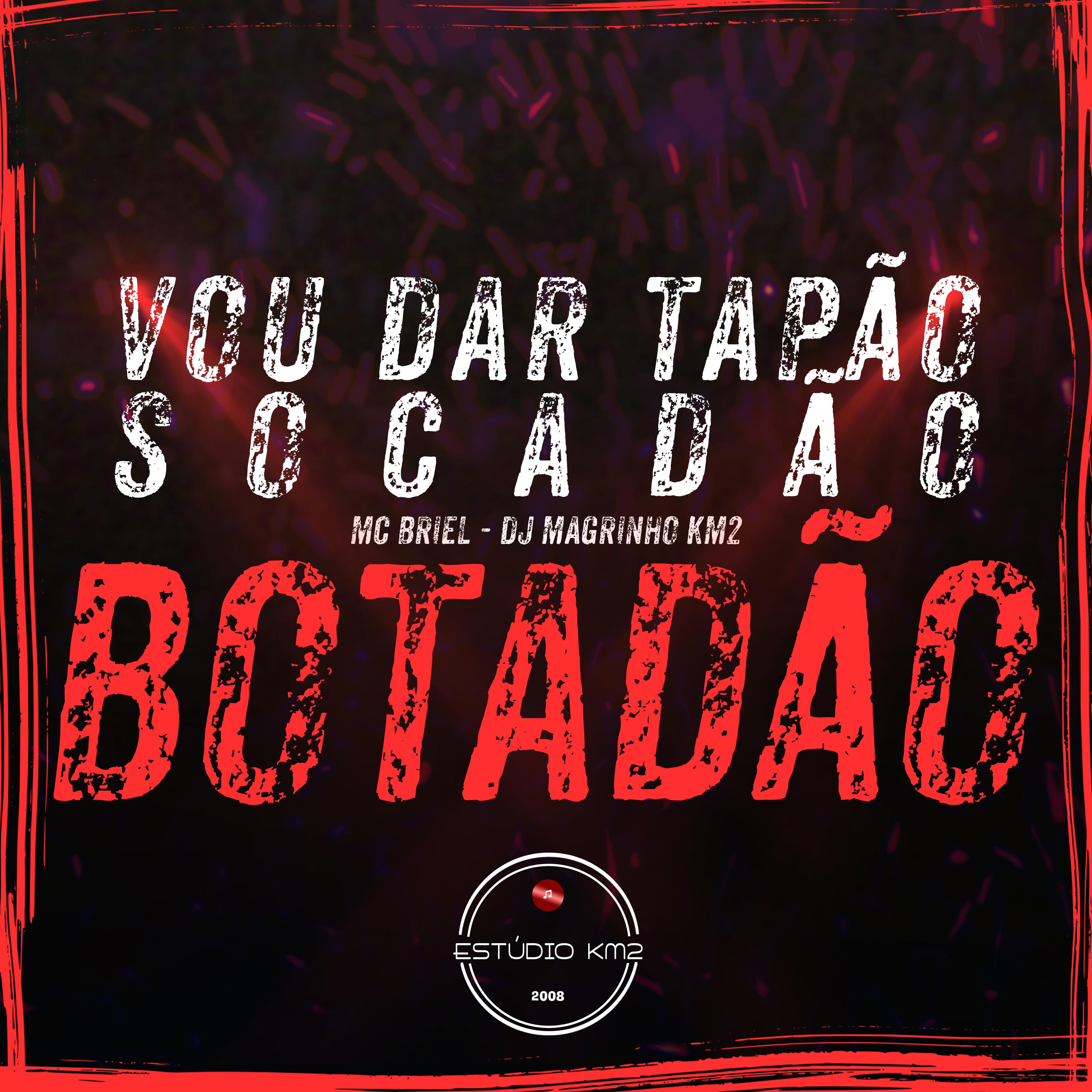 Постер альбома Vou Dar Tapão, Socadão, Botadão