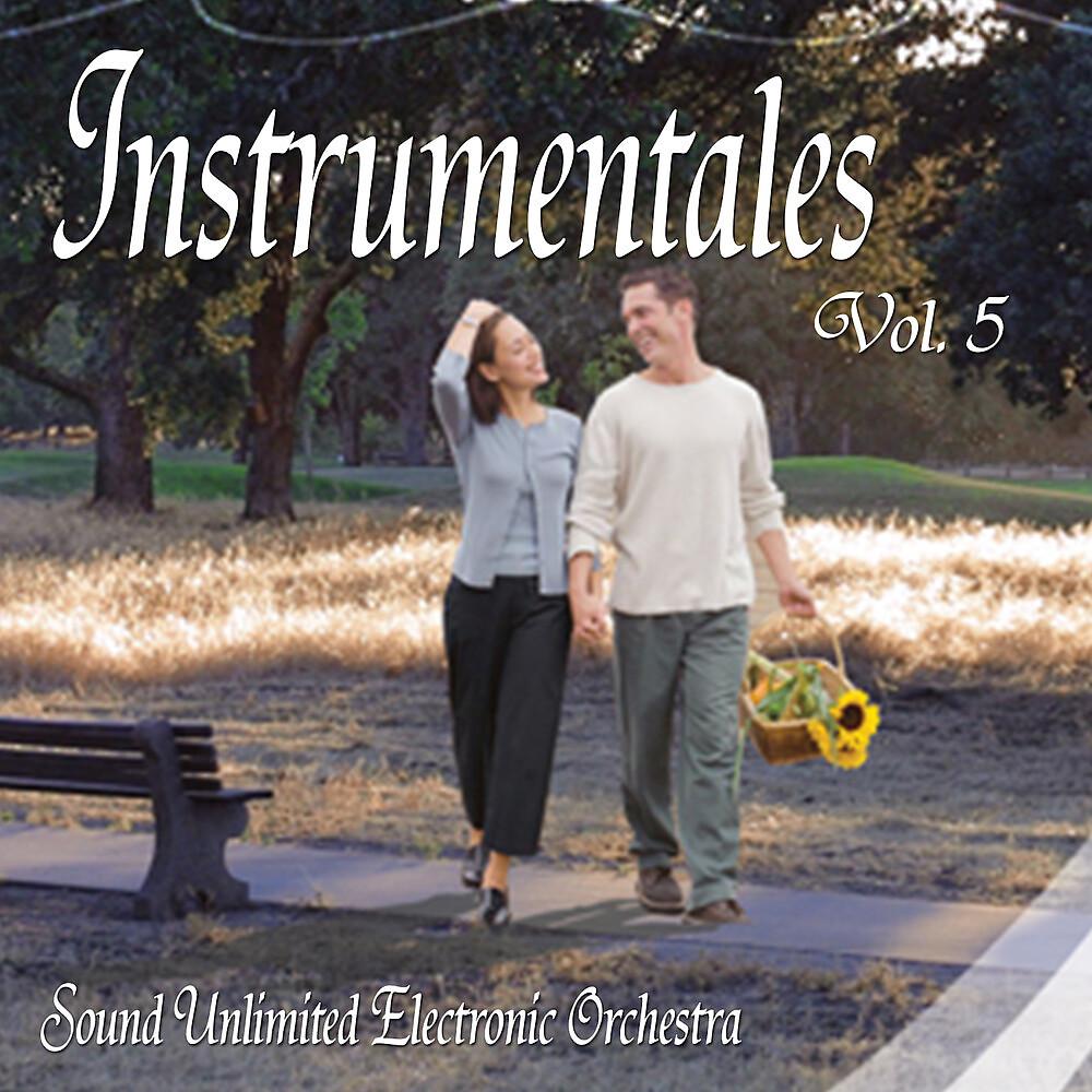 Постер альбома Instrumentales, Vol. 5