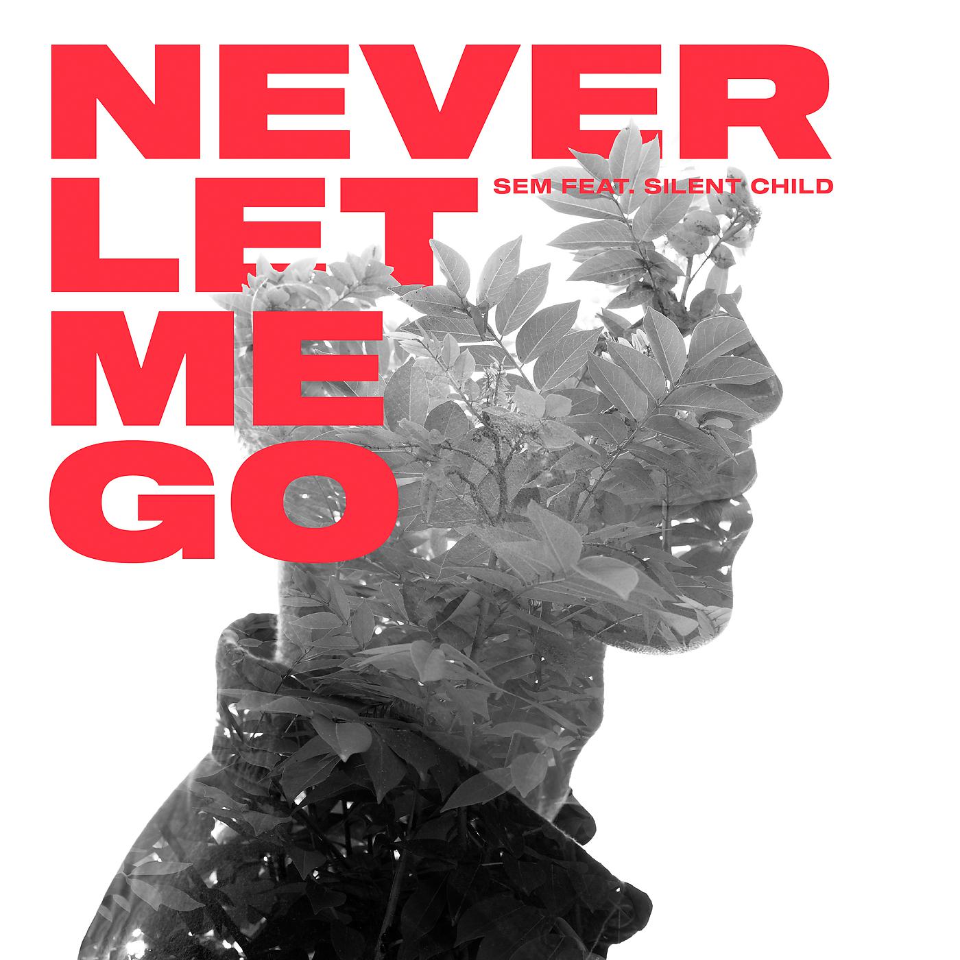 Постер альбома Never Let Me Go