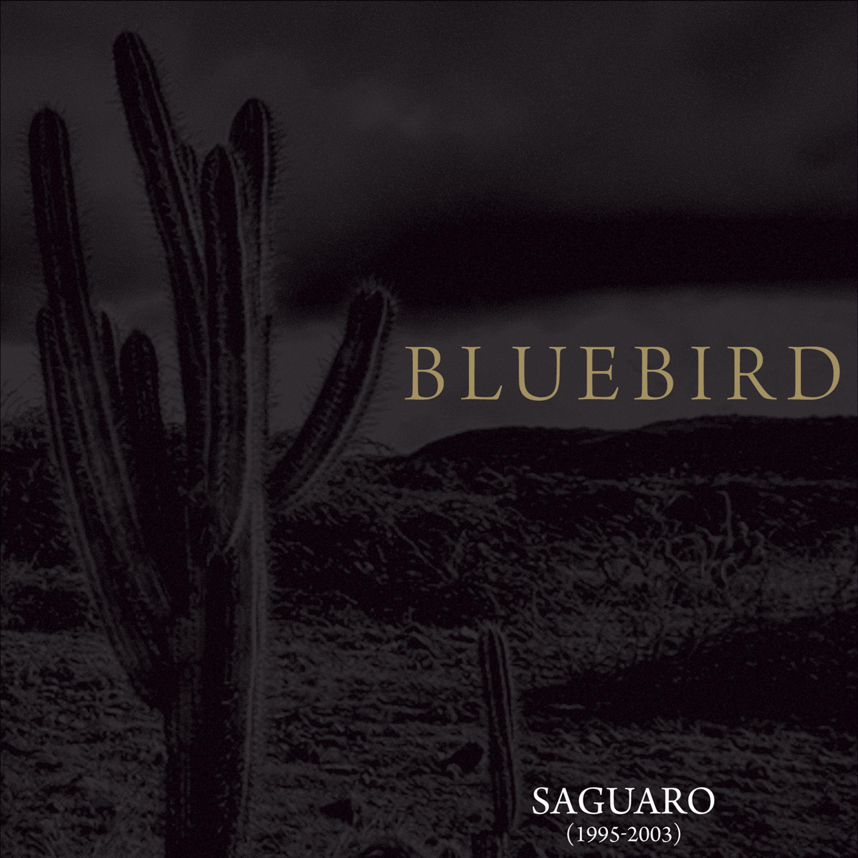 Постер альбома Saguaro (1995-2003)