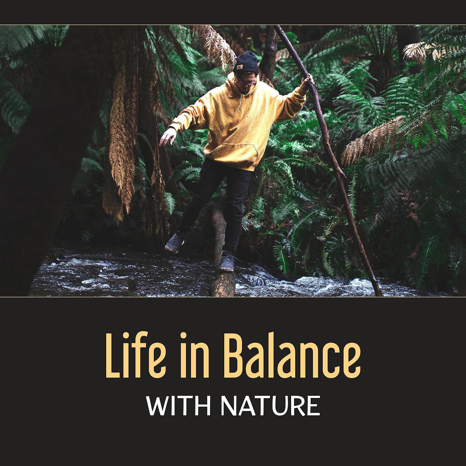 Постер альбома Life in Balance with Nature – Healing Power of Total Relax, Yoga in Nature Space, Soothing Sounds of Rain, Ocean Waves, Singing Birds in Forest