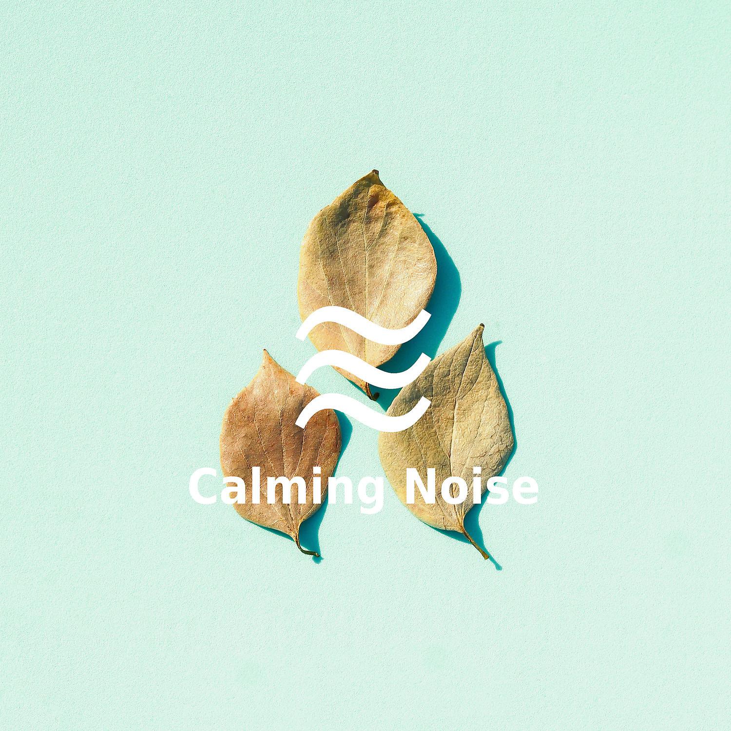 Постер альбома Insomnia Help Noise