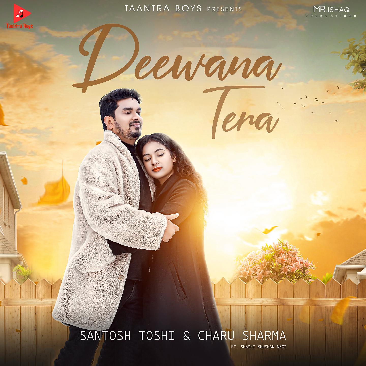 Постер альбома Deewana Tera