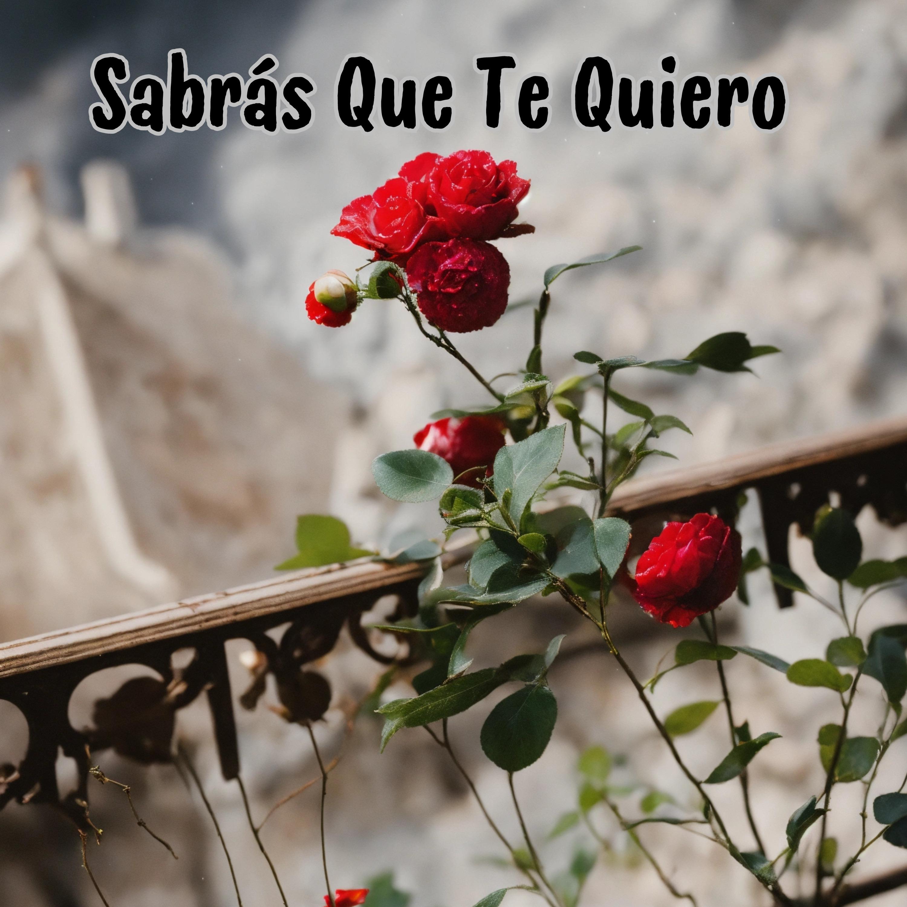 Постер альбома Sabrás Que Te Quiero