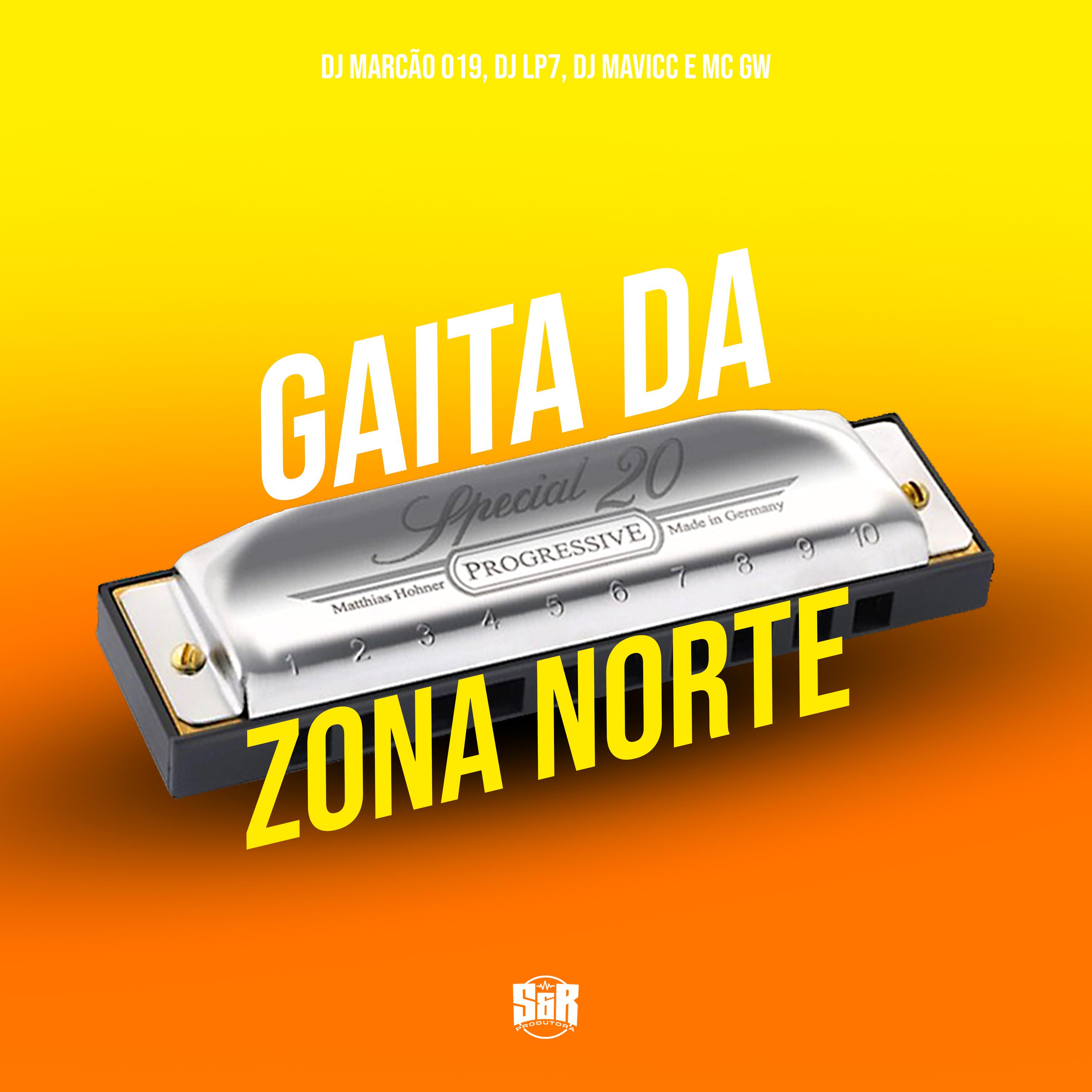 Постер альбома Gaita da Zona Norte