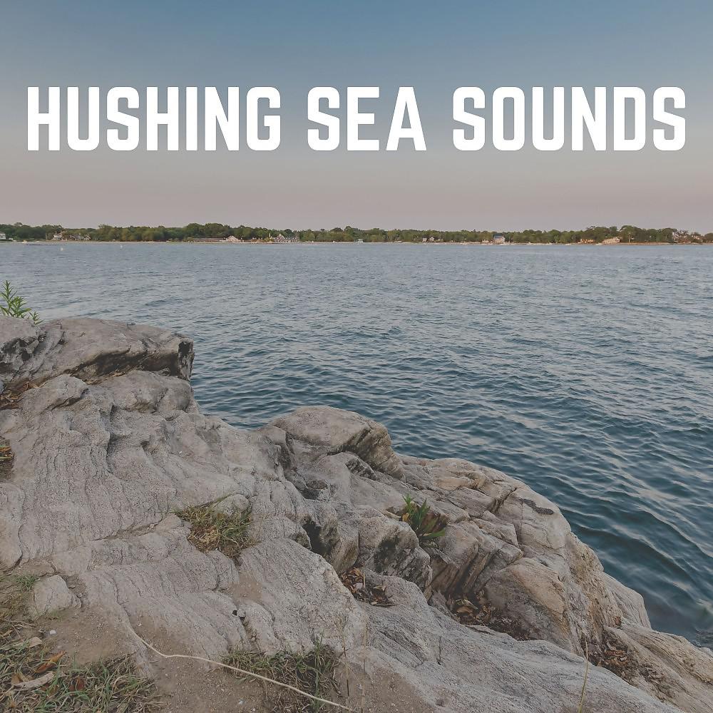 Постер альбома Hushing Sea Sounds