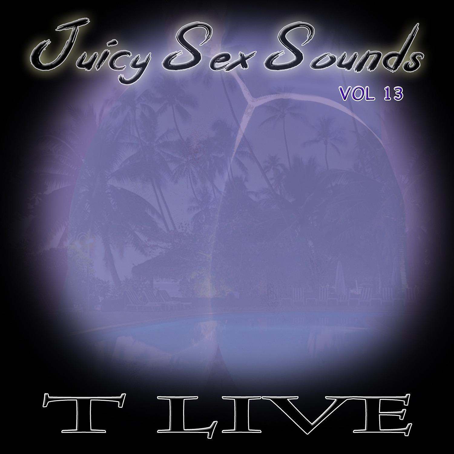 Постер альбома Juicy Sex Sounds Vol 13
