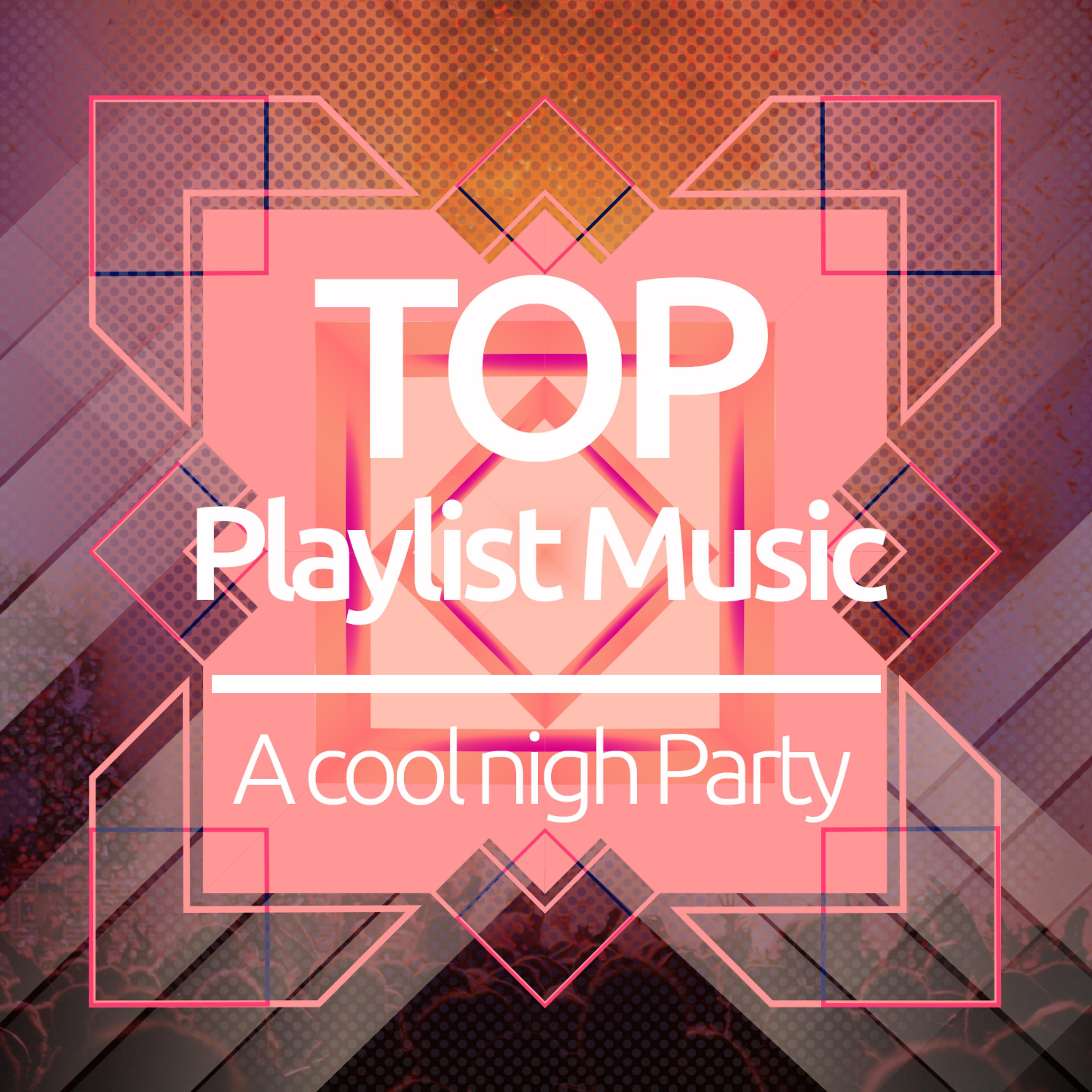 Постер альбома Top Playlist Music. A Cool Night Party