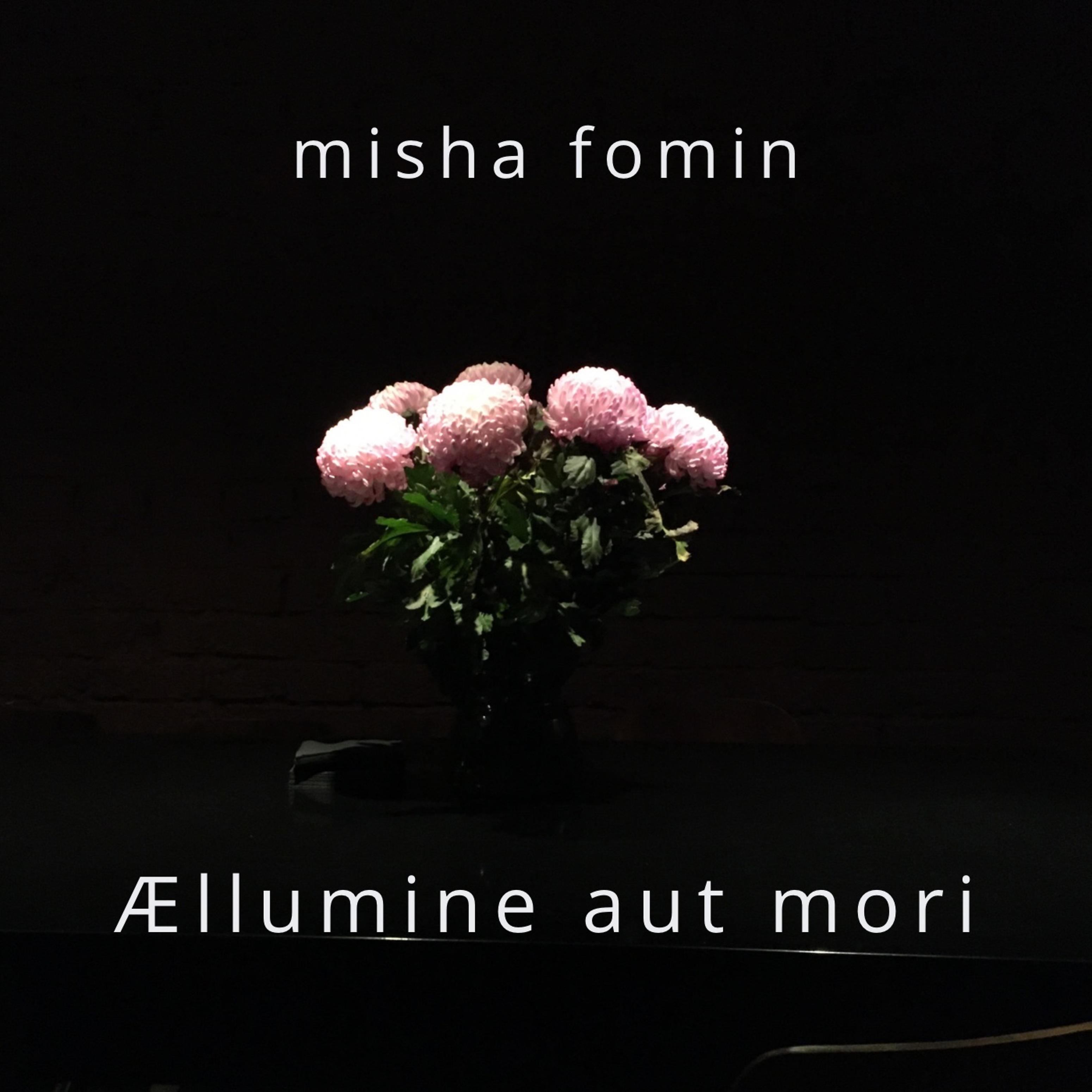 Постер альбома Aellumine Aut Mori