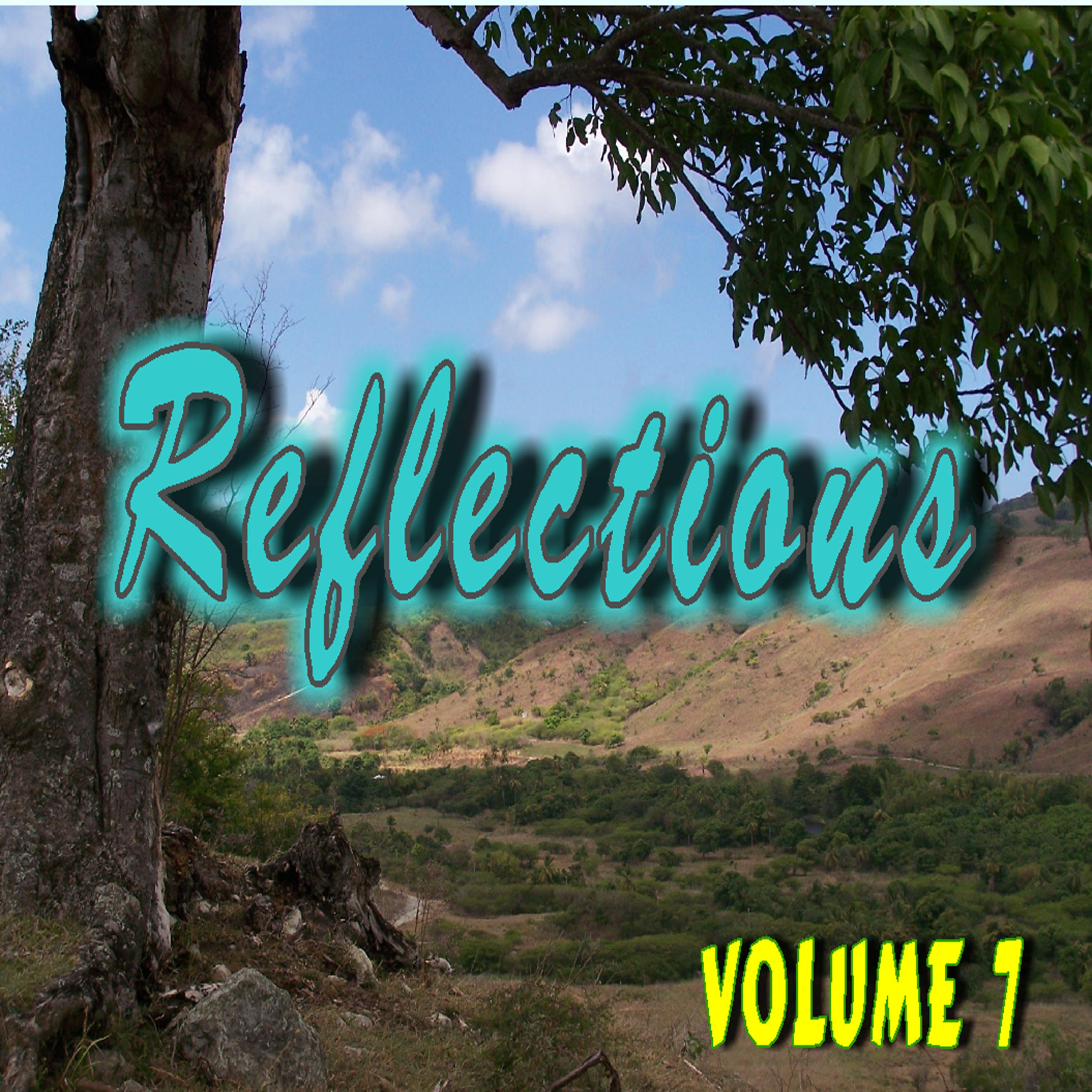 Постер альбома Reflections, Vol. 7