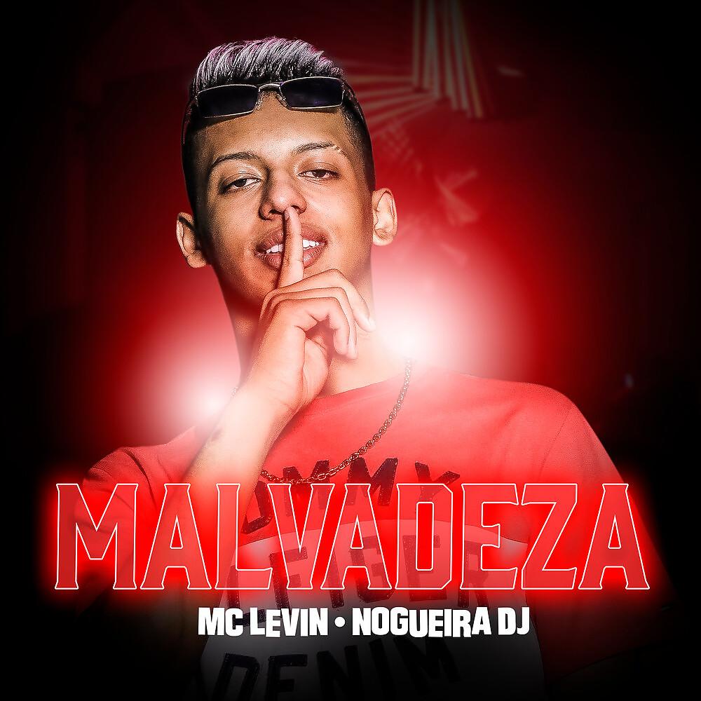 Постер альбома Malvadeza