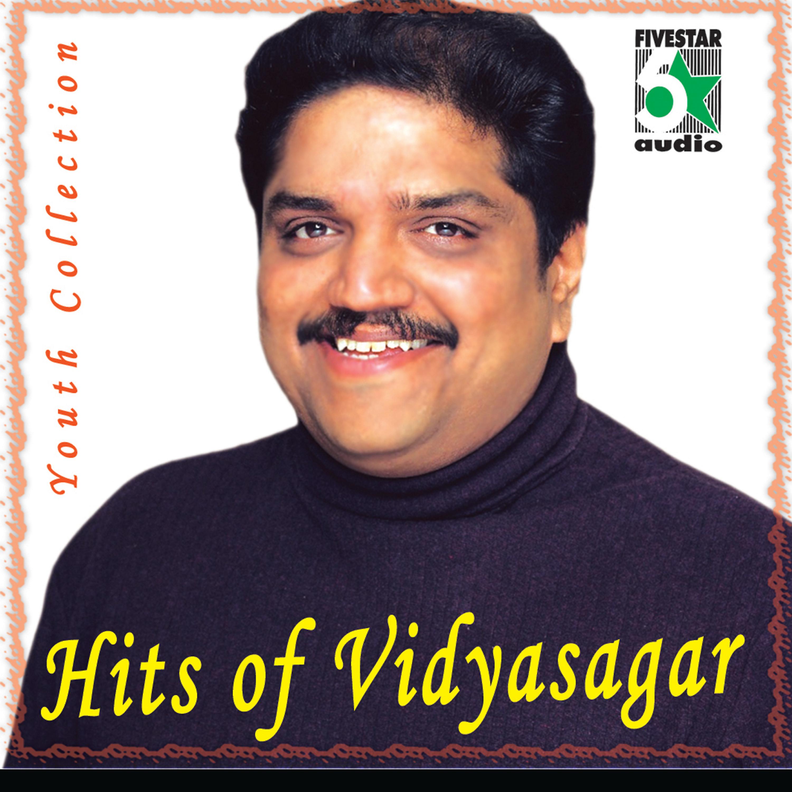 Постер альбома Hits of Vidyasagar