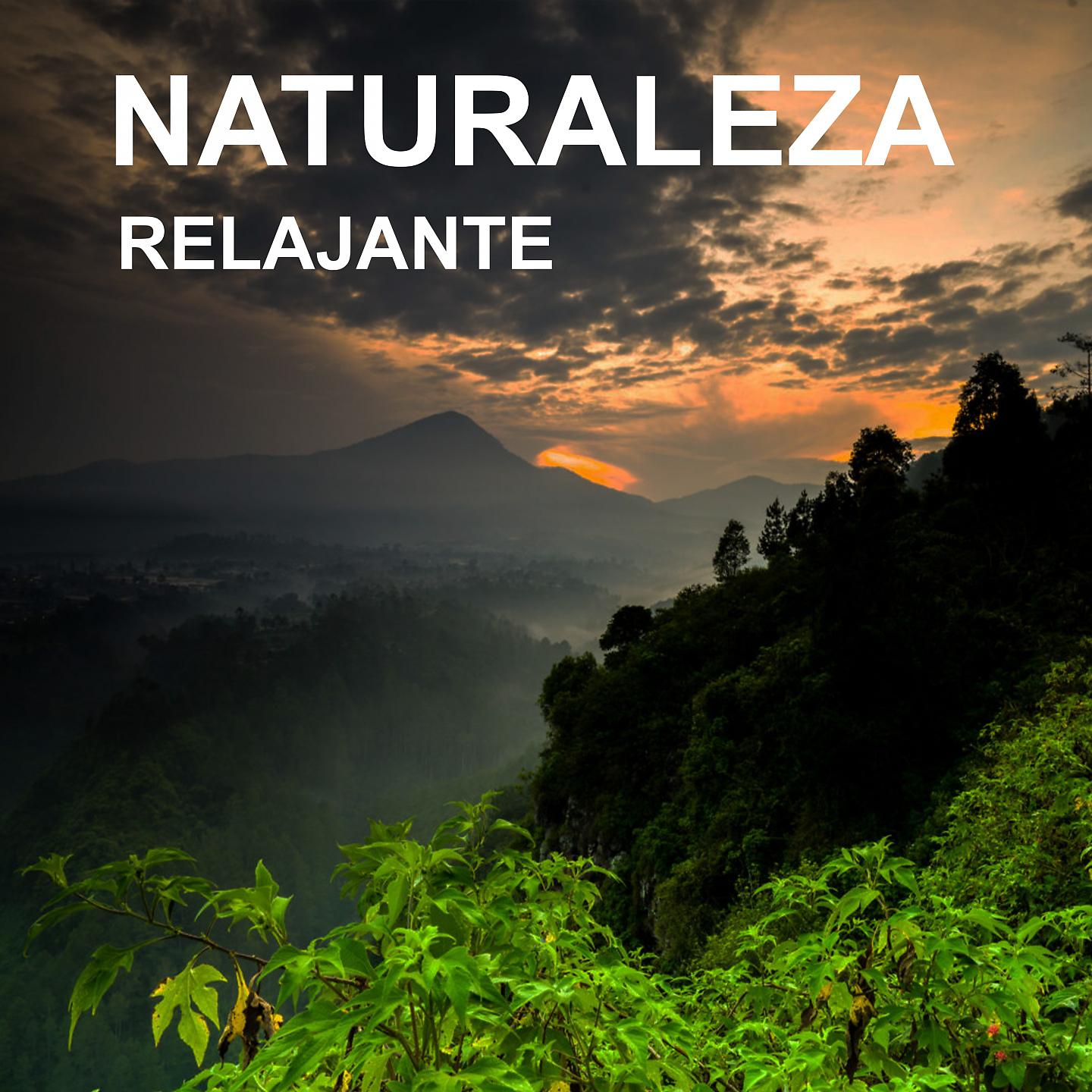 Постер альбома Naturaleza Relajante