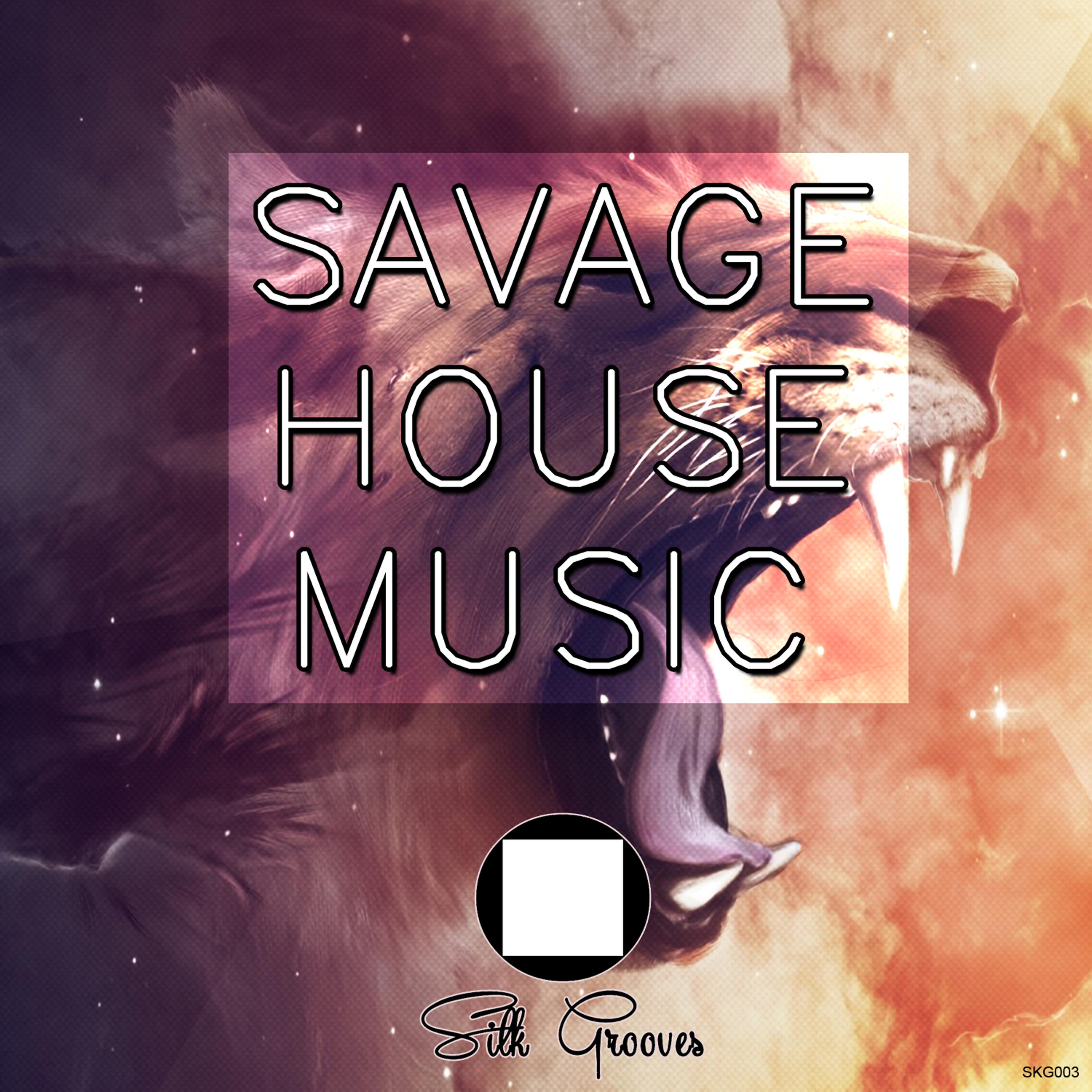 Постер альбома Savage House Music