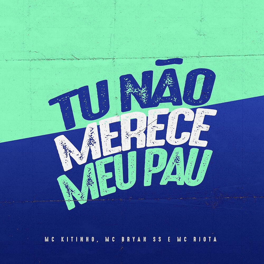 Постер альбома Tu Não Merece Meu Pau