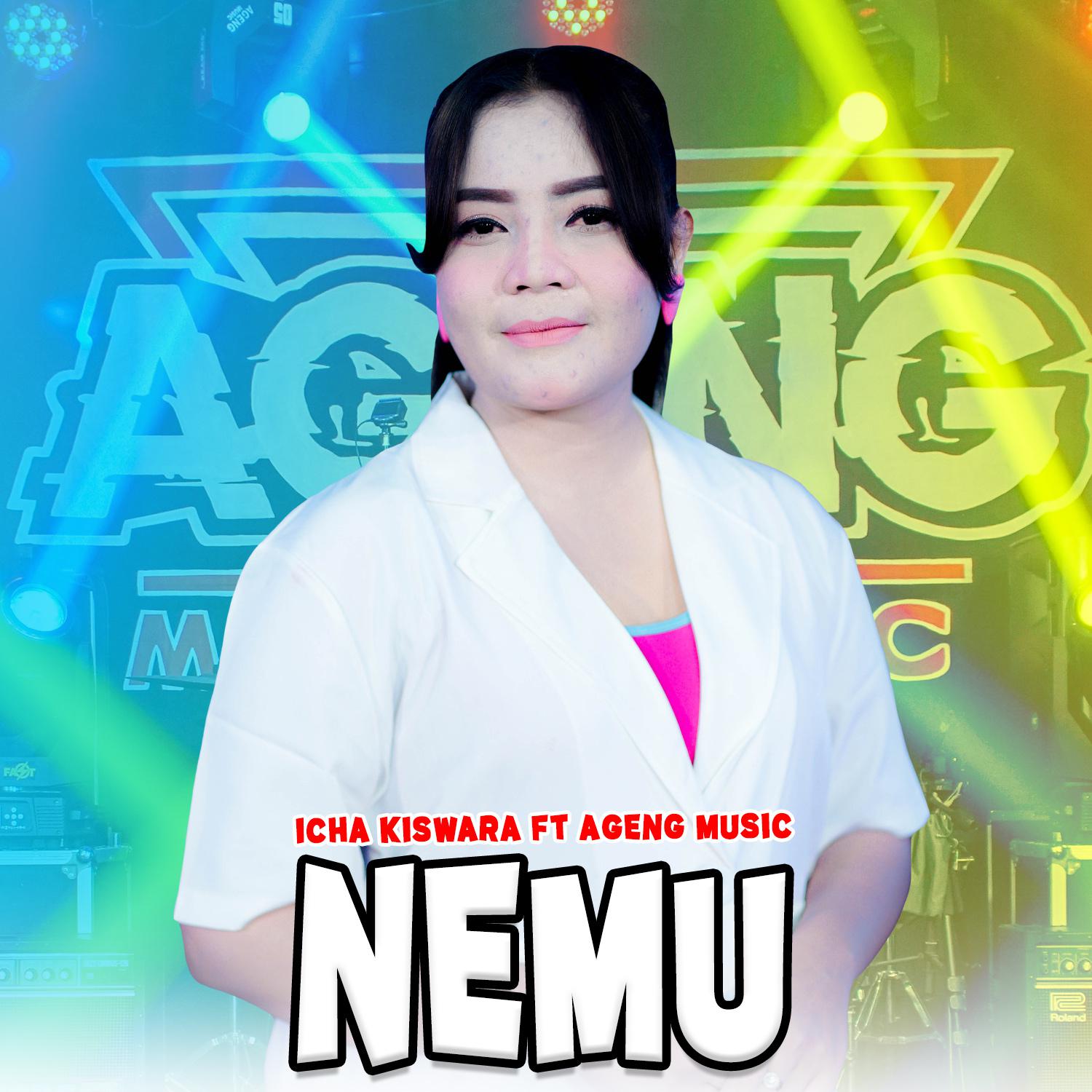 Постер альбома Nemu