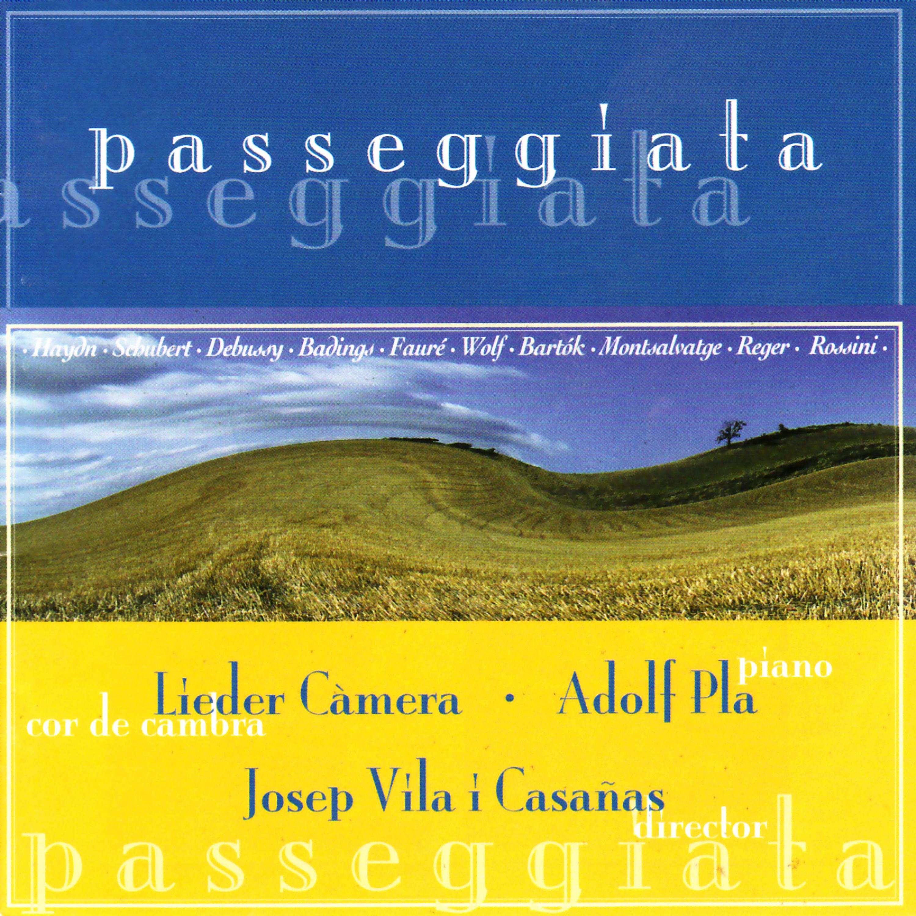Постер альбома Passeggiata - Hadyn, Schubert, Debussy, Badings, etc