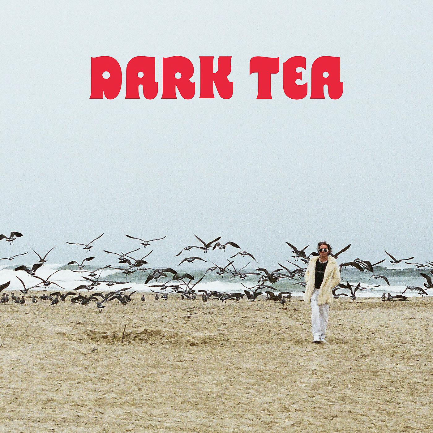 Постер альбома Dark Tea