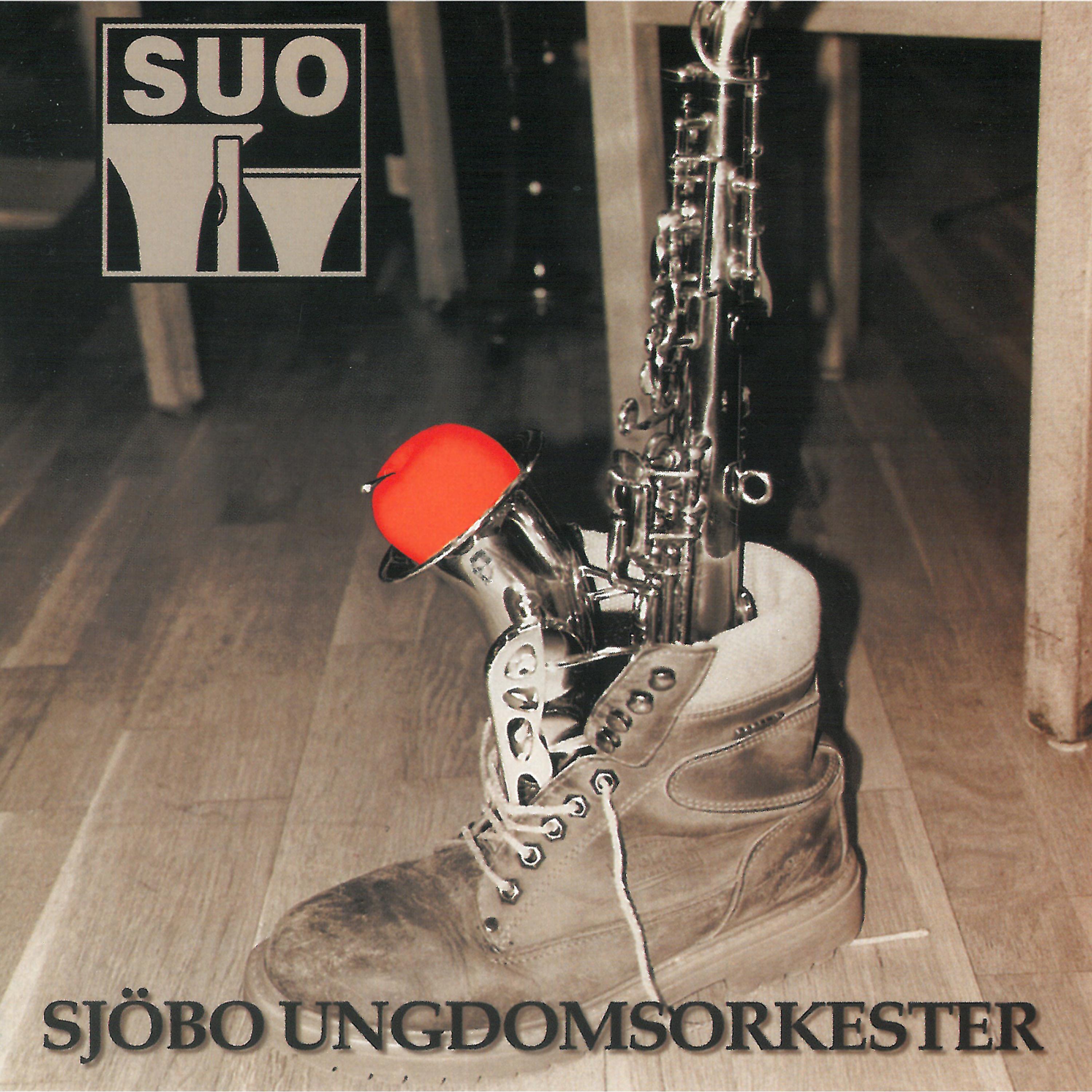 Постер альбома Sjöbo Ungdomsorkester 1996
