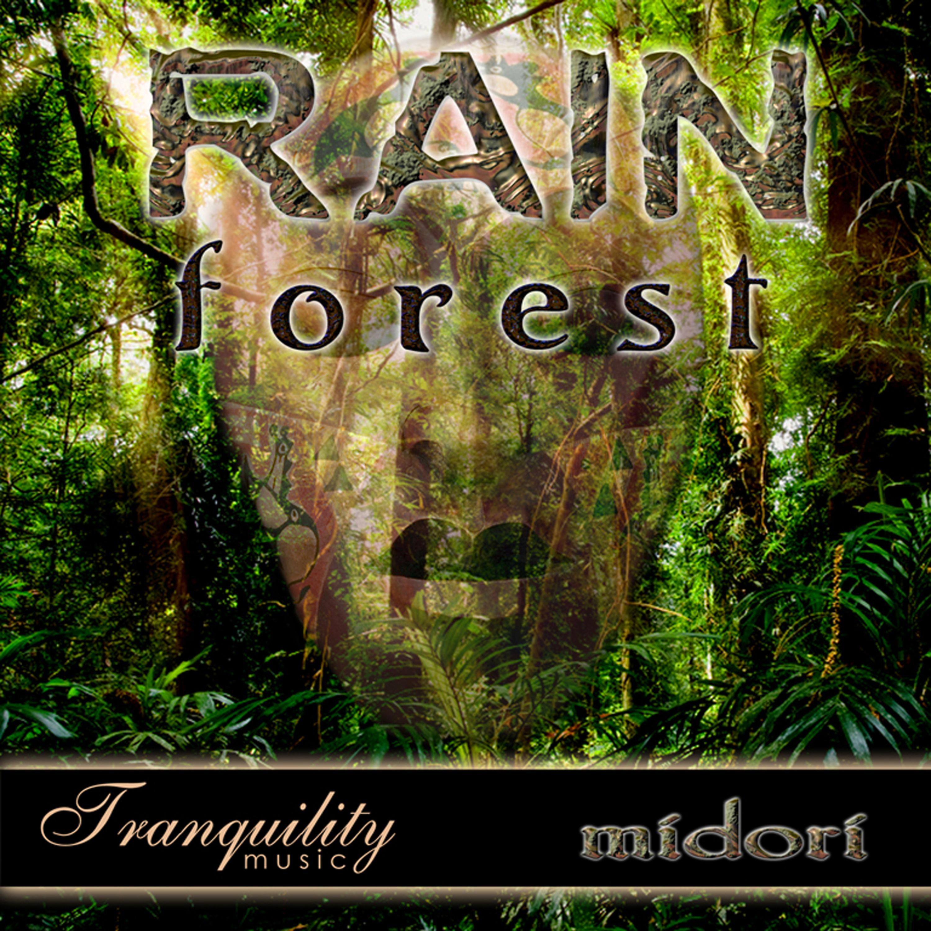Постер альбома Rainforest