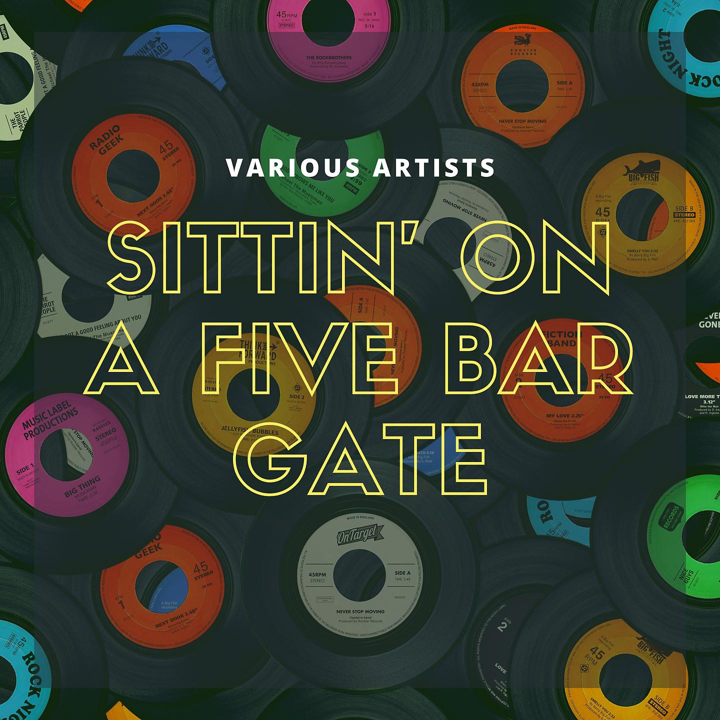 Постер альбома Sittin' On a Five Bar Gate