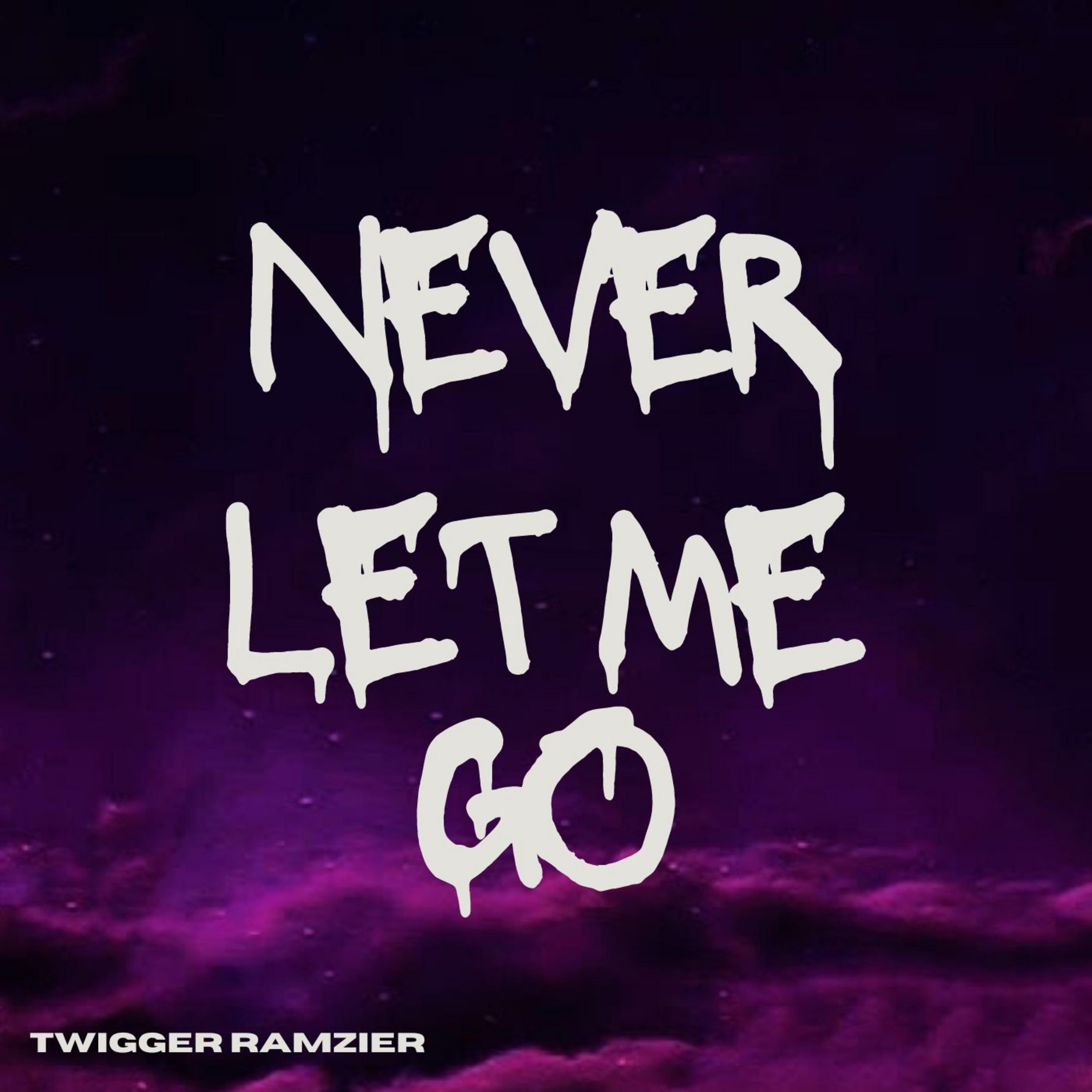 Постер альбома Never let me go