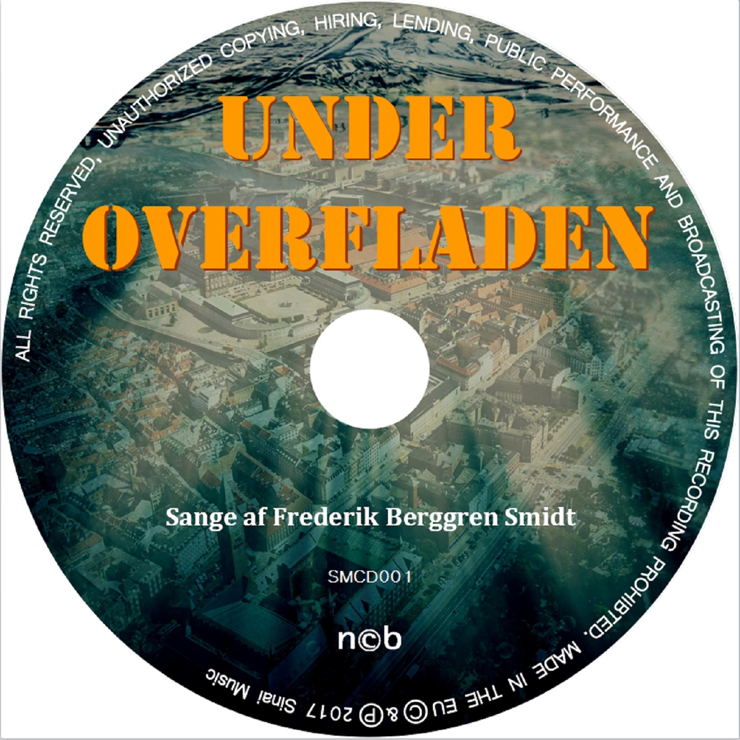 Постер альбома Under Overfladen (Bag Historien)