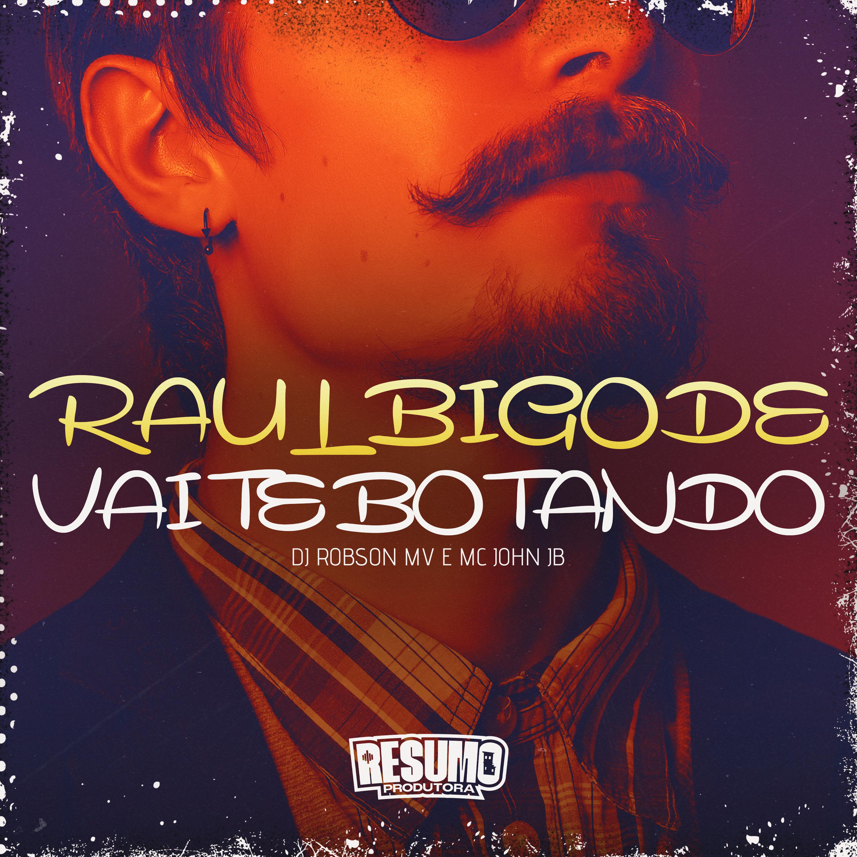 Постер альбома Raul Bigode Vai Te Botando