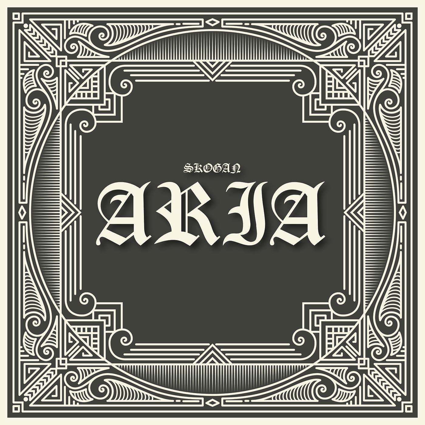 Постер альбома Aria