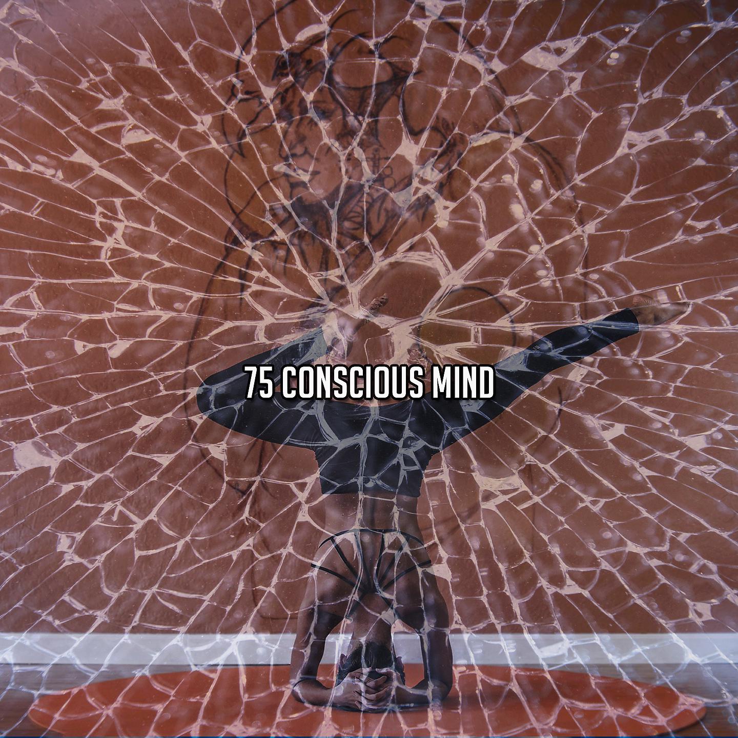 Постер альбома 75 Conscious Mind