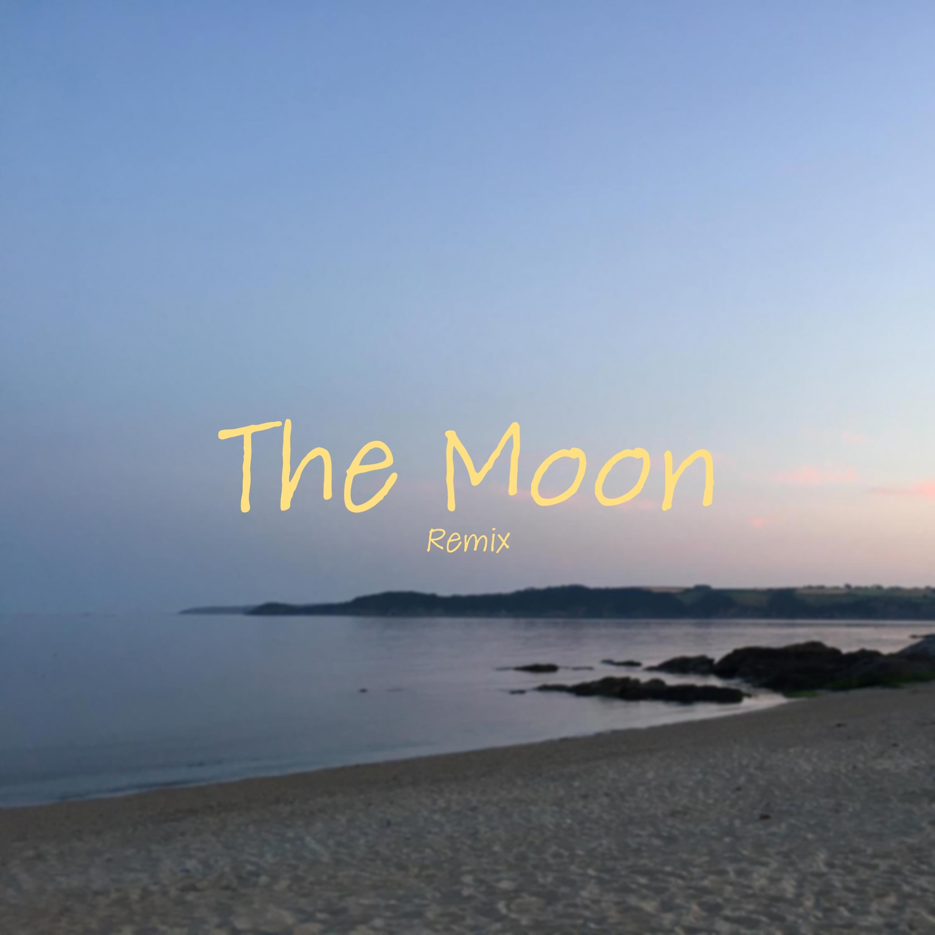 Постер альбома The Moon (Remix)