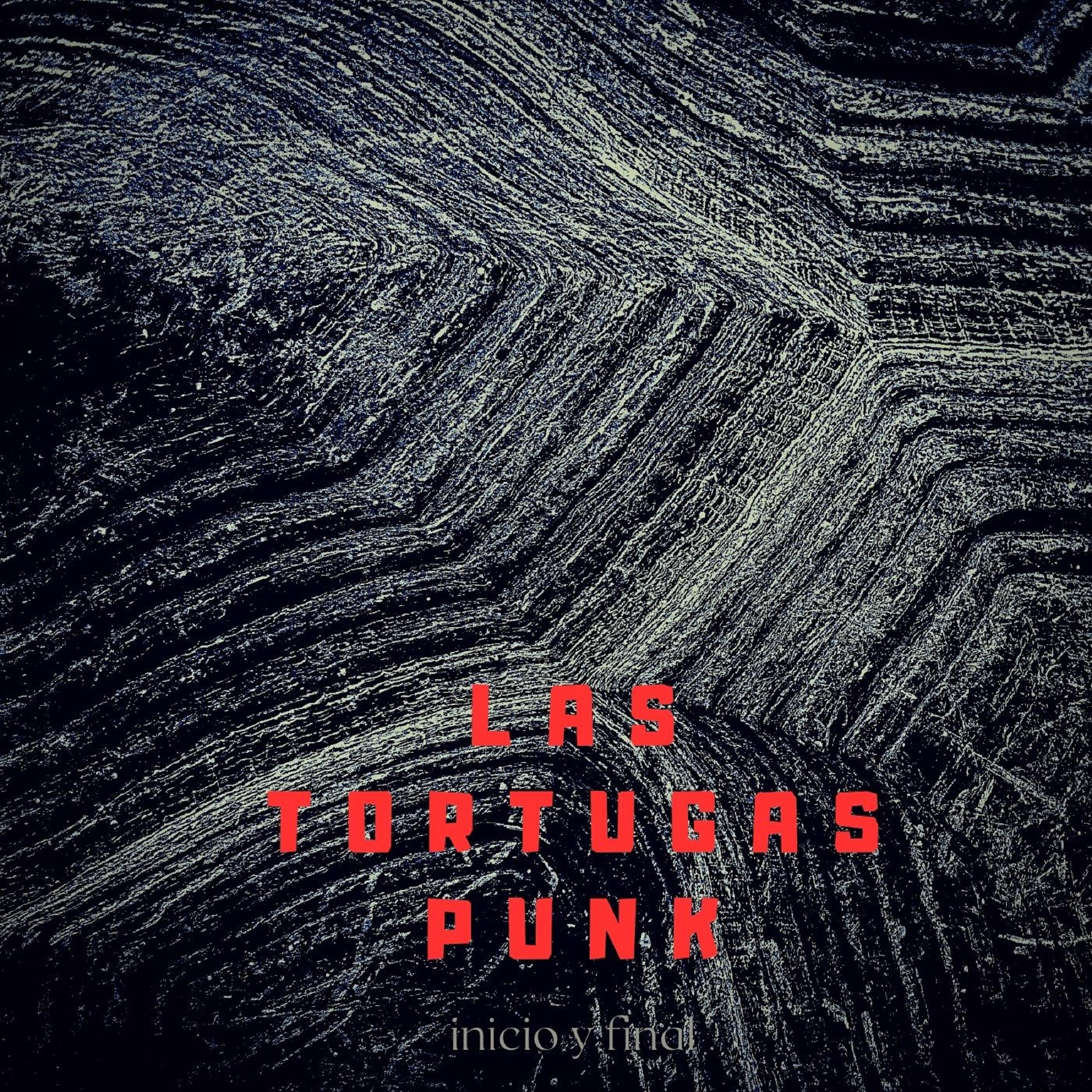 Постер альбома Las Tortugas Punk