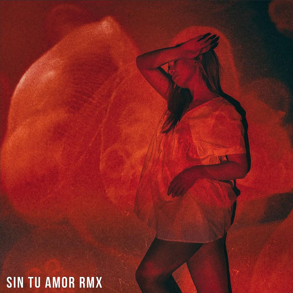 Постер альбома Sin Tu Amor (Remix)