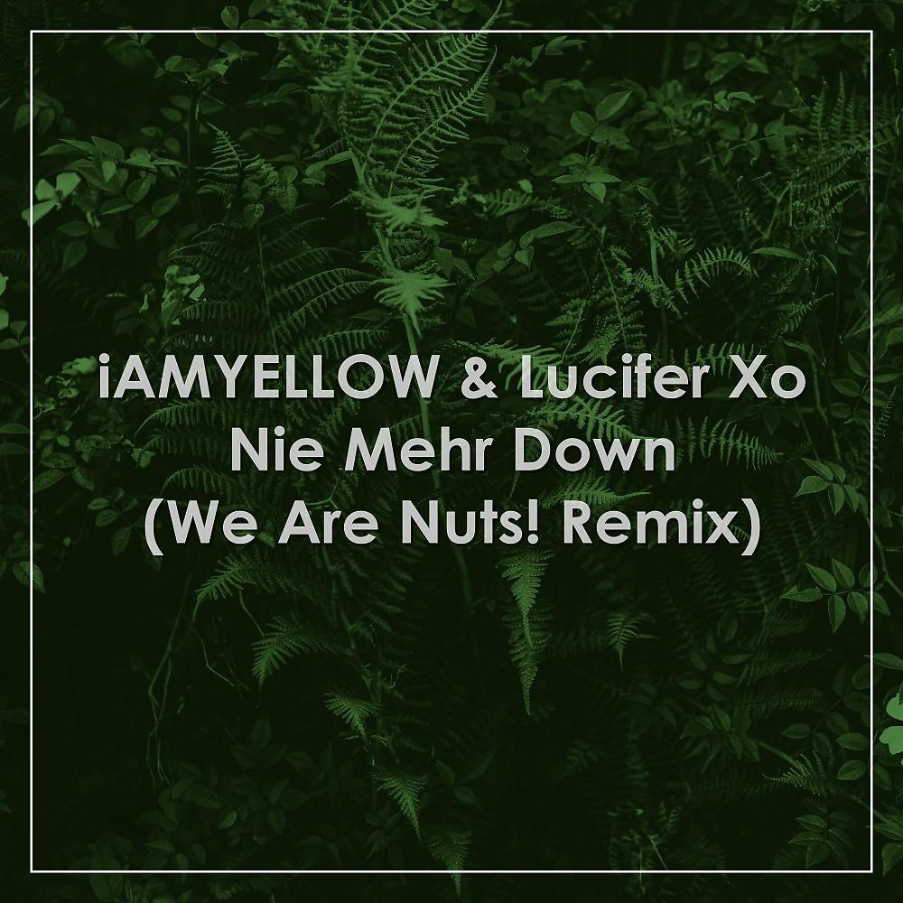 Постер альбома Nie mehr down (We Are Nuts! Remix)