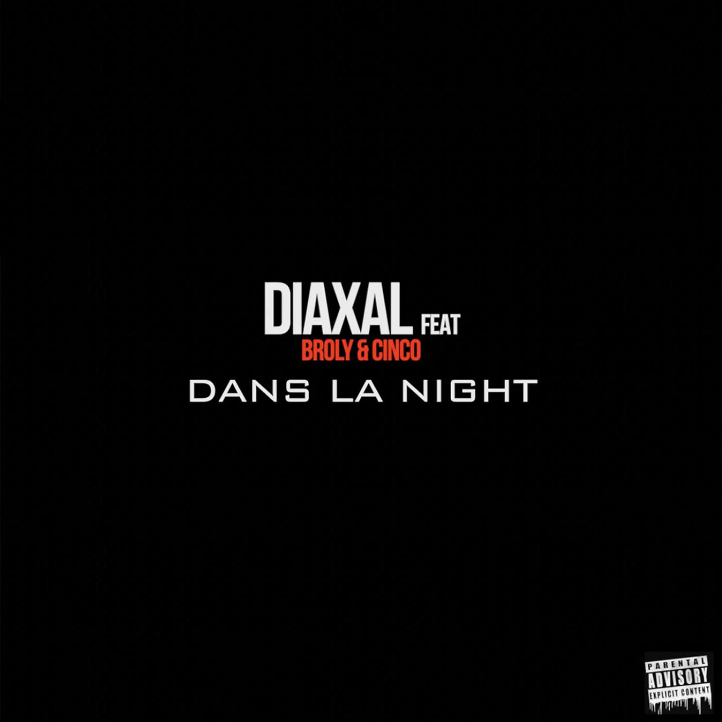 Постер альбома Dans la night