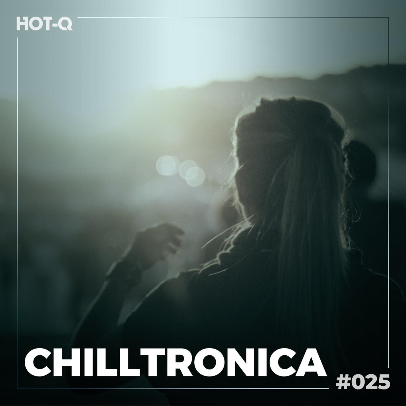 Постер альбома Chilltronica 025