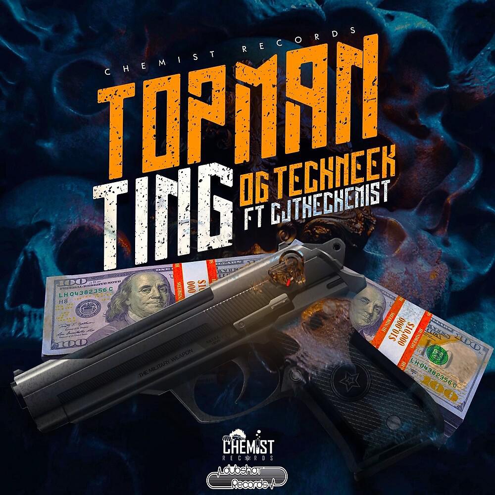 Постер альбома Topman Ting