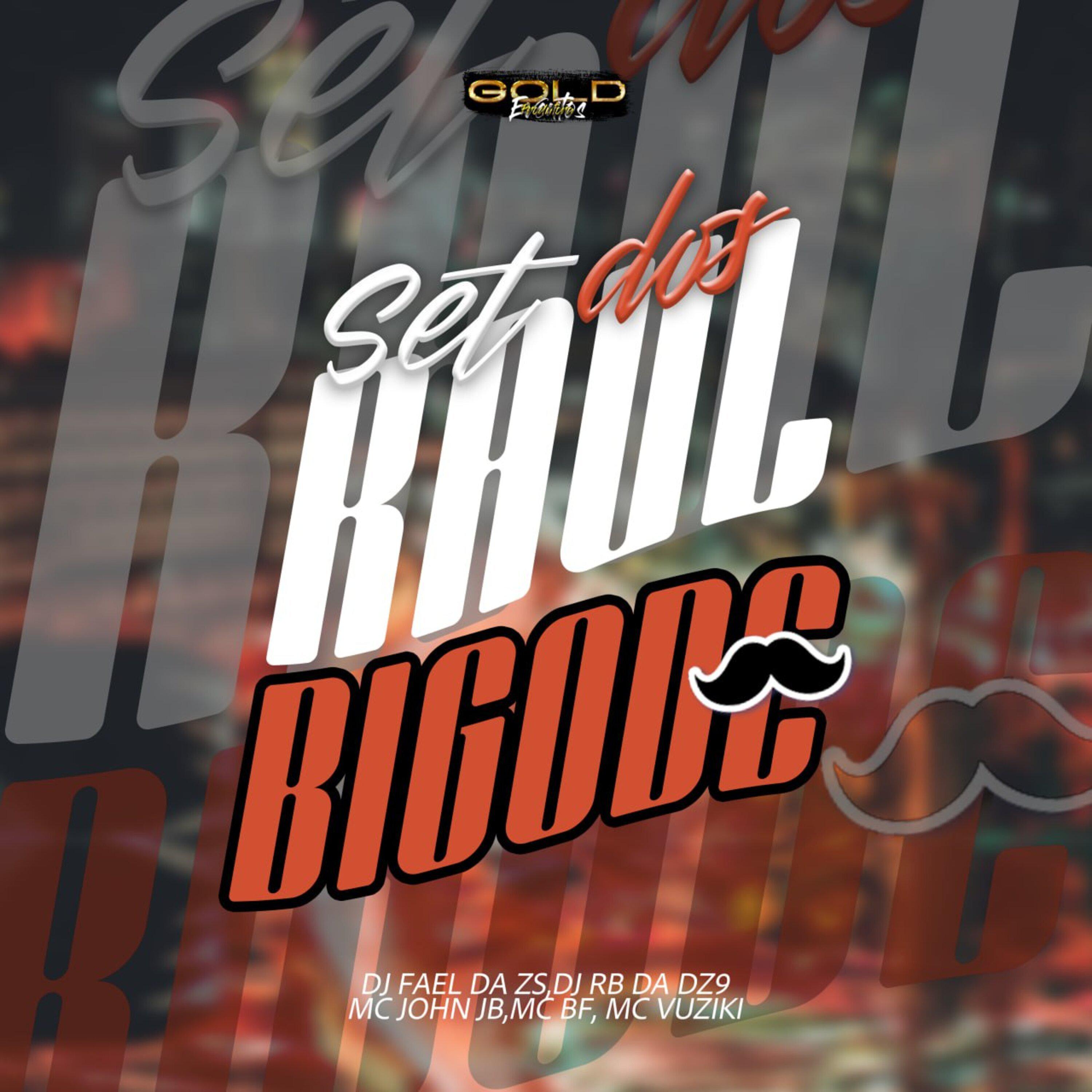 Постер альбома Set dos Raul Bigode