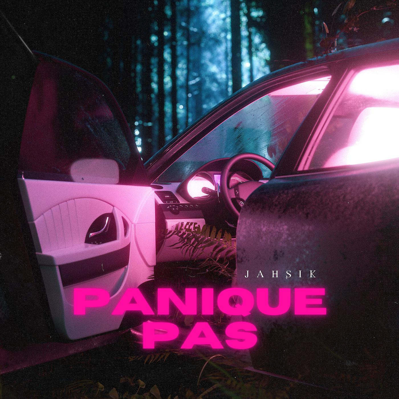 Постер альбома Panique pas