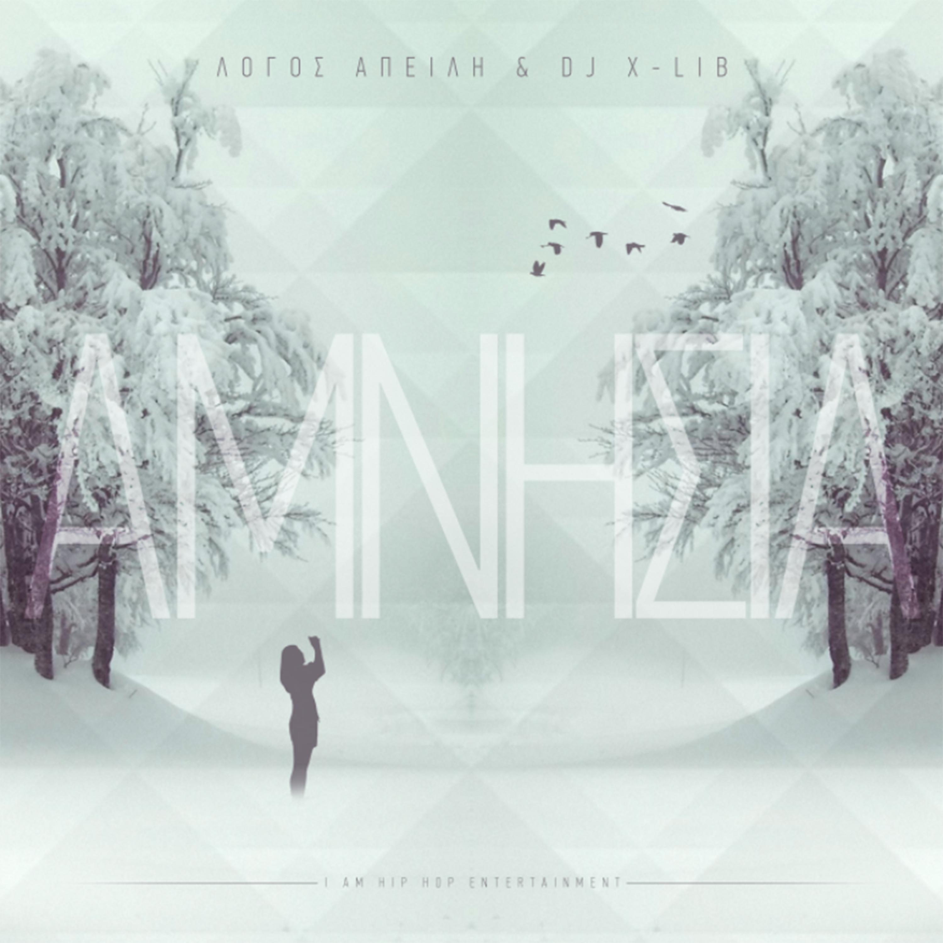 Постер альбома Amnisia