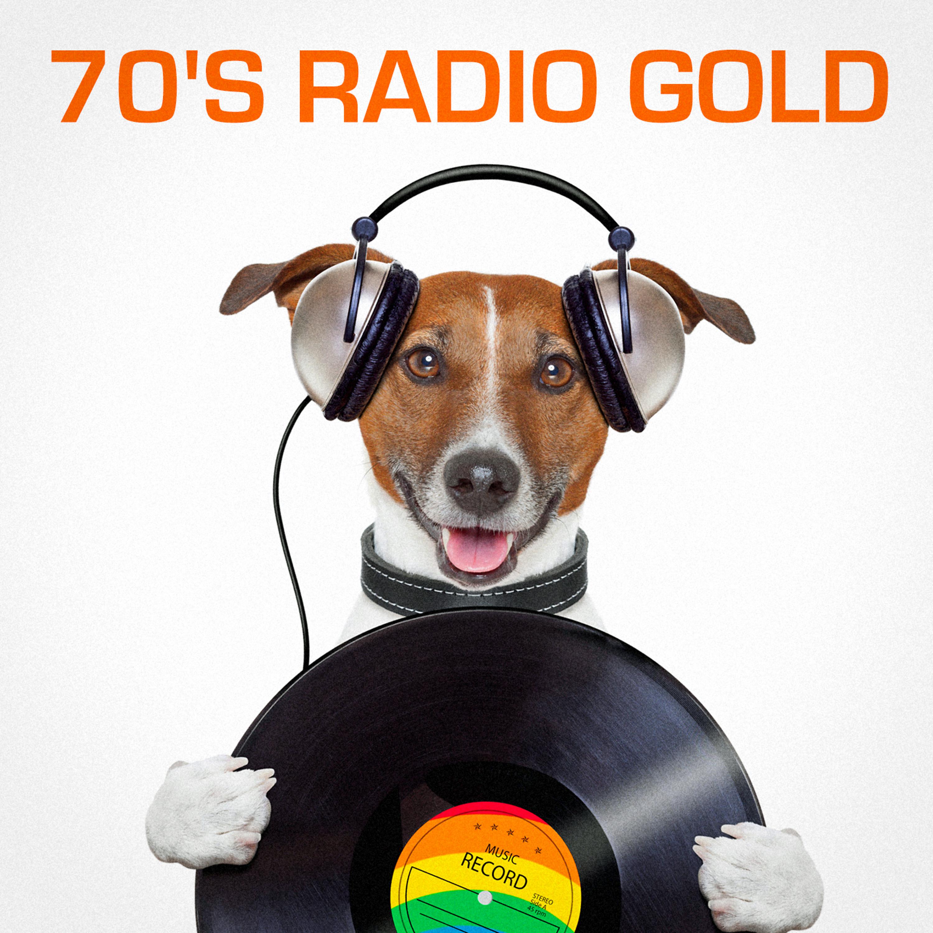 Постер альбома 70's Radio Gold (The Best of Radio Classics from the Seventies)