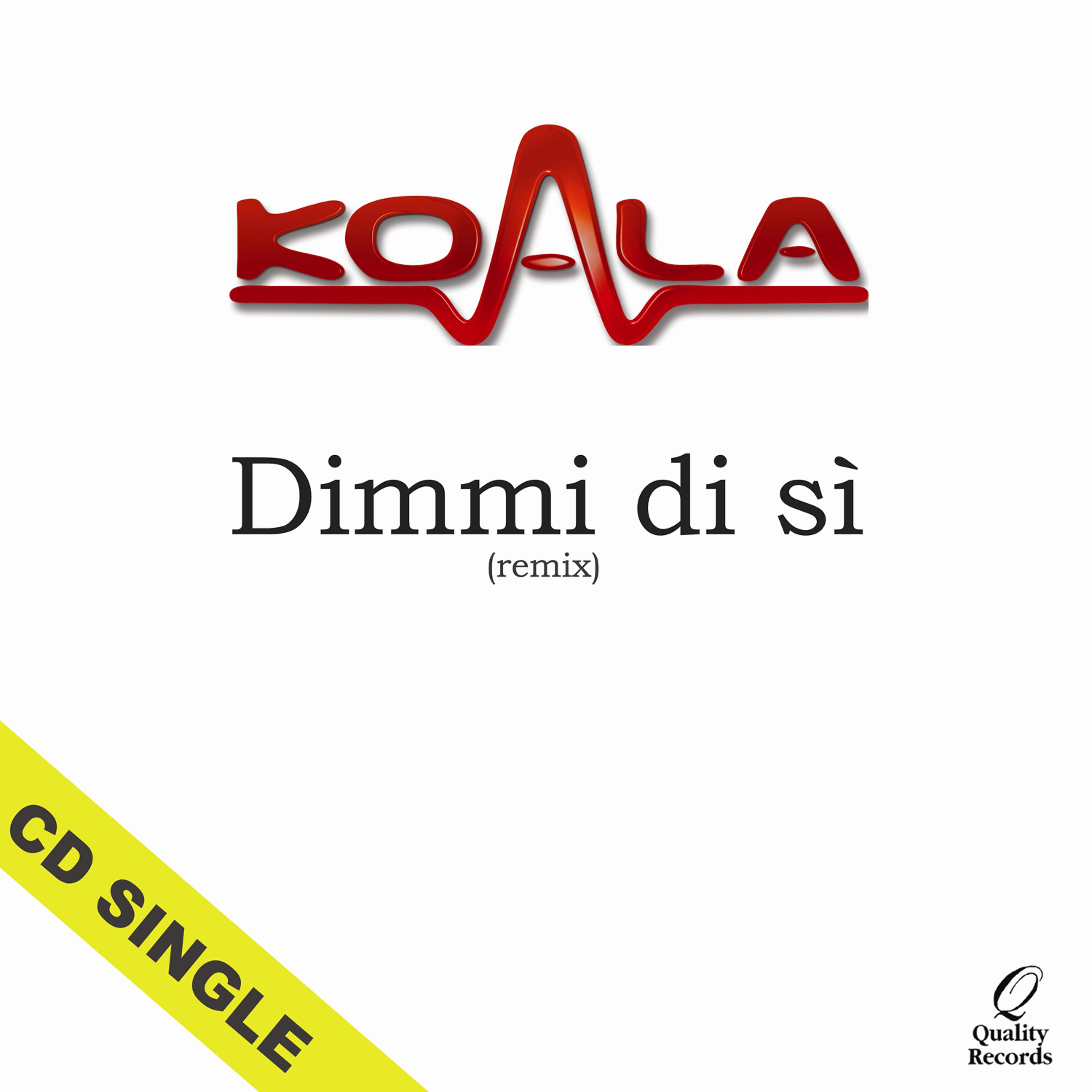 Постер альбома Dimmi di sì