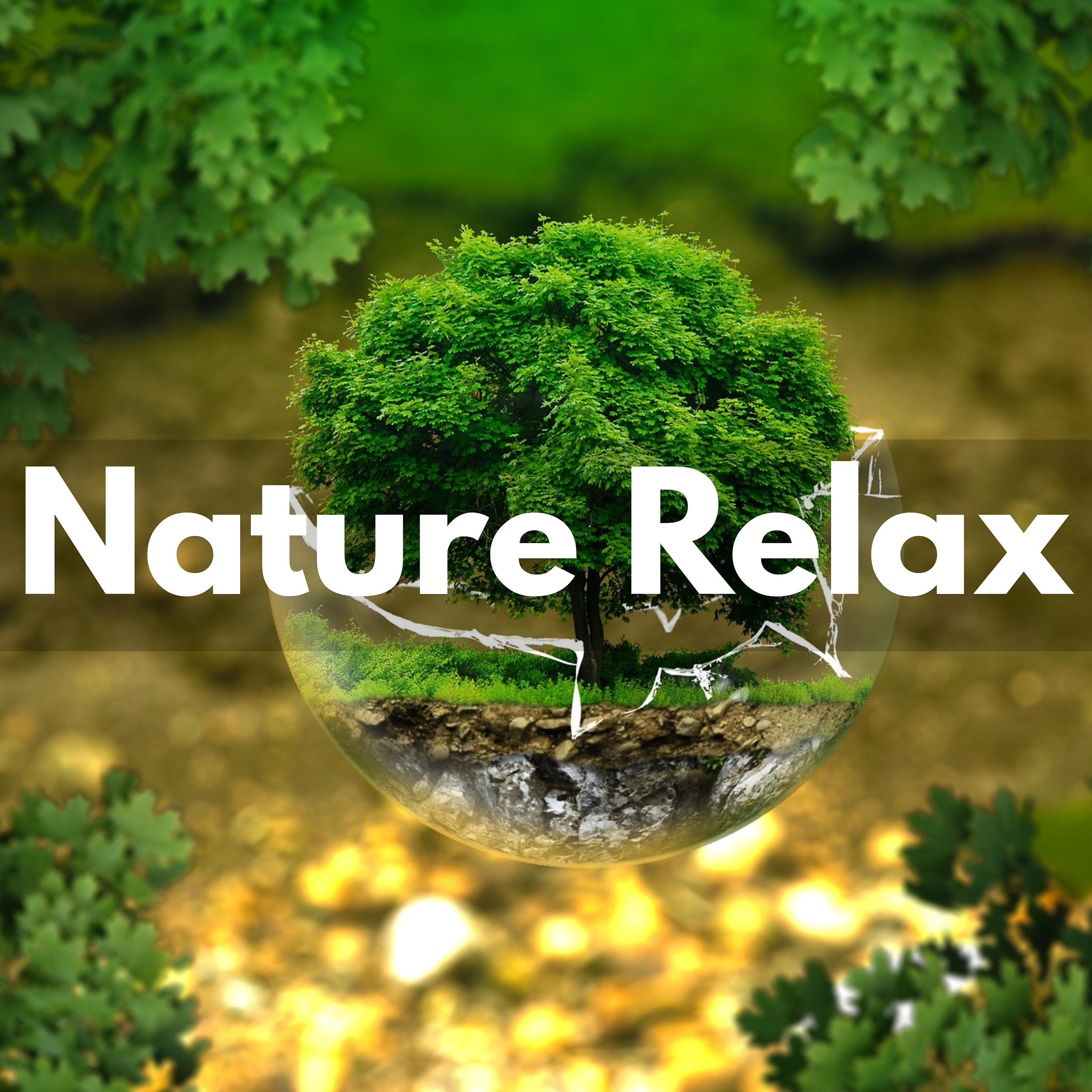 Постер альбома Nature Relax