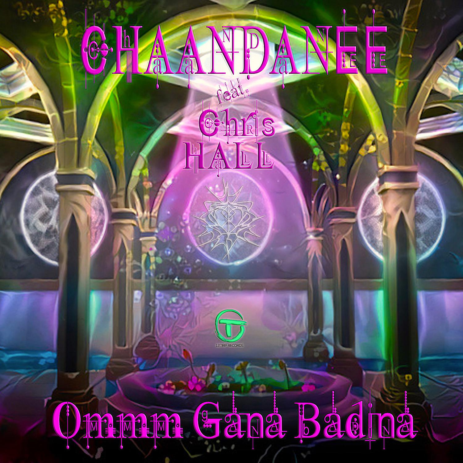 Постер альбома Ommm Gana Badina (feat. Chris Hall)