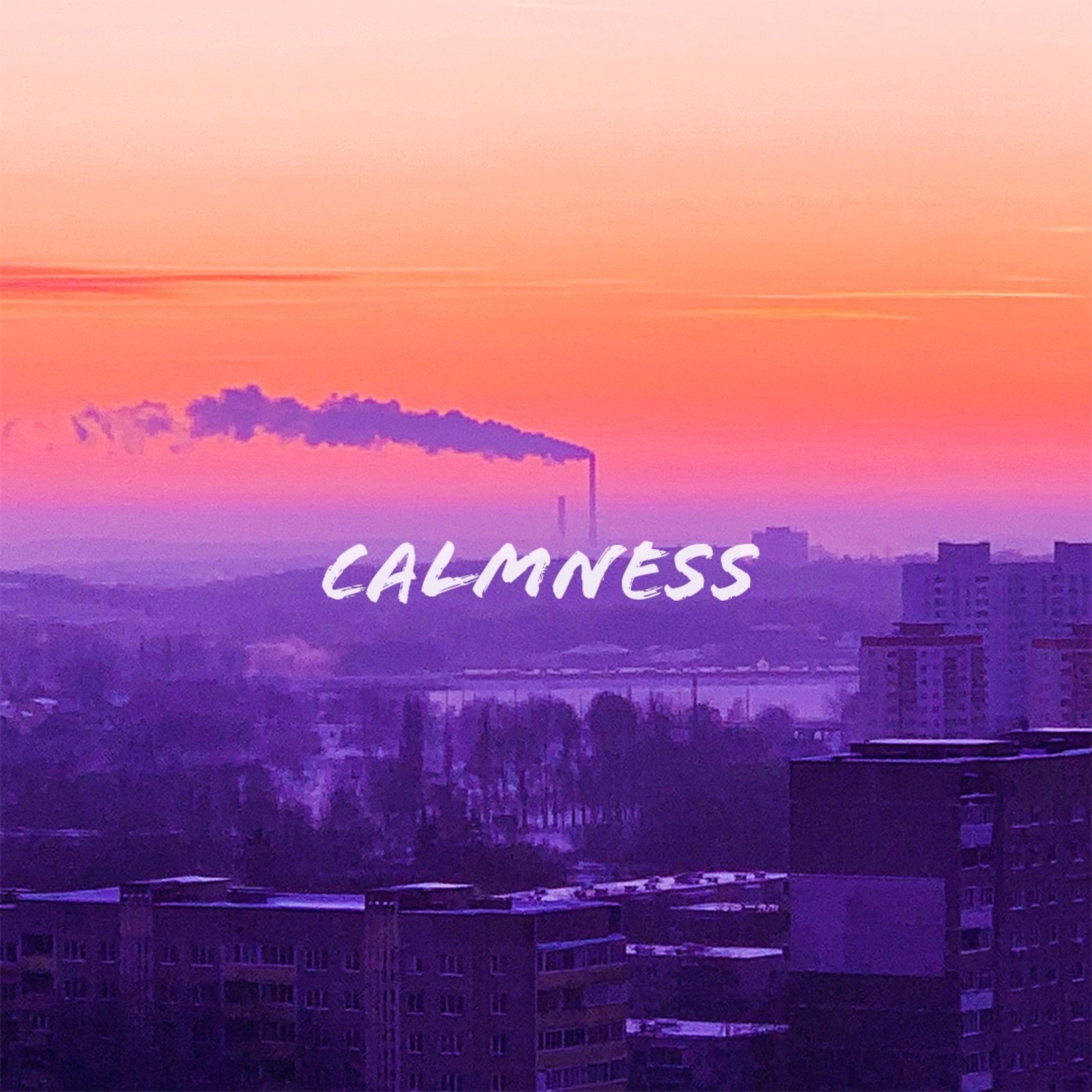 Постер альбома Calmness