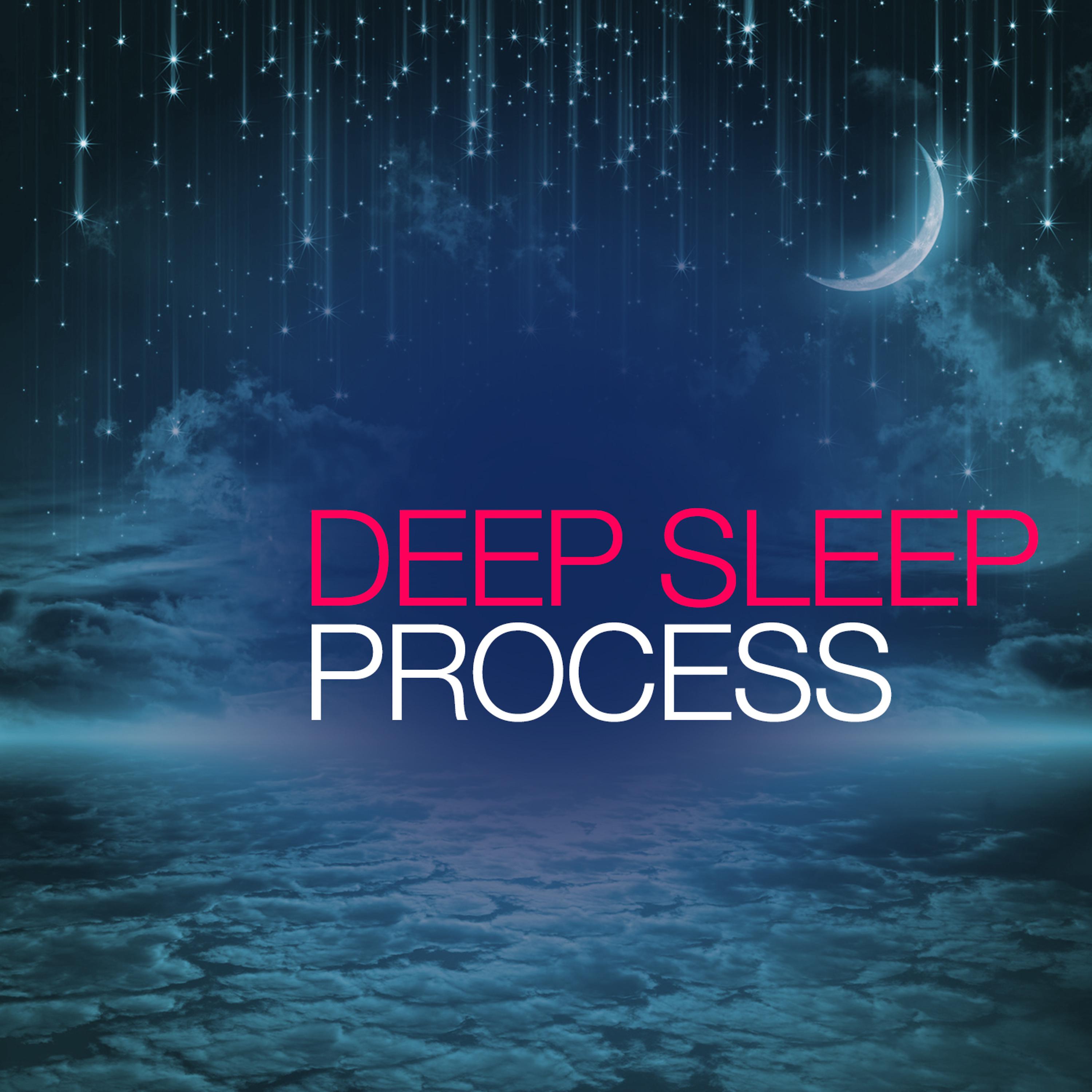 Постер альбома Deep Sleep Process