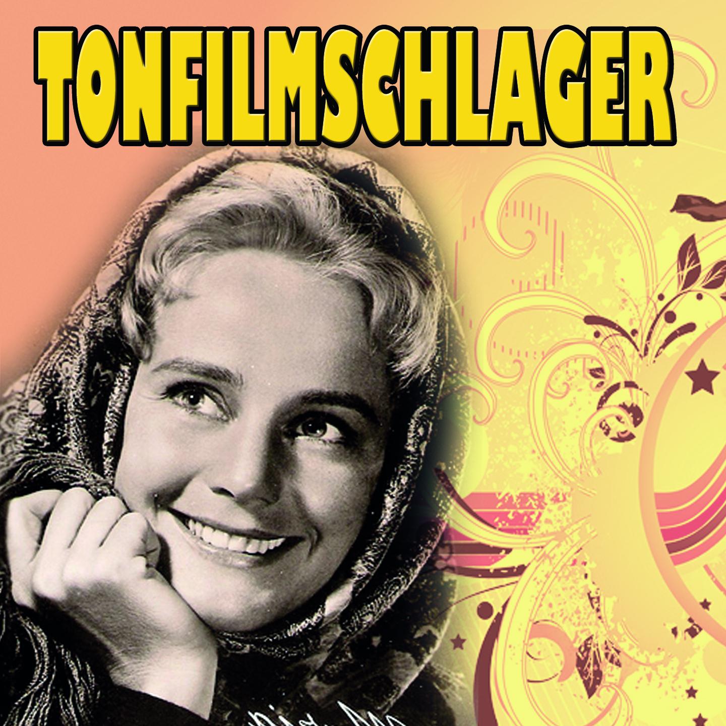 Постер альбома Wunderschöne Tonfilmschlager, Vol. 6